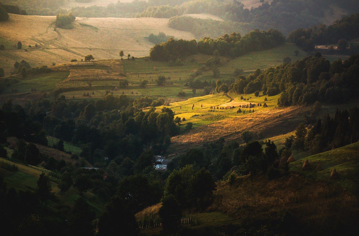 canon , canon70d, landscape, landscapes, carpathian, mountain, light, sun, neture, green, summer, Дмитрий Шеремет