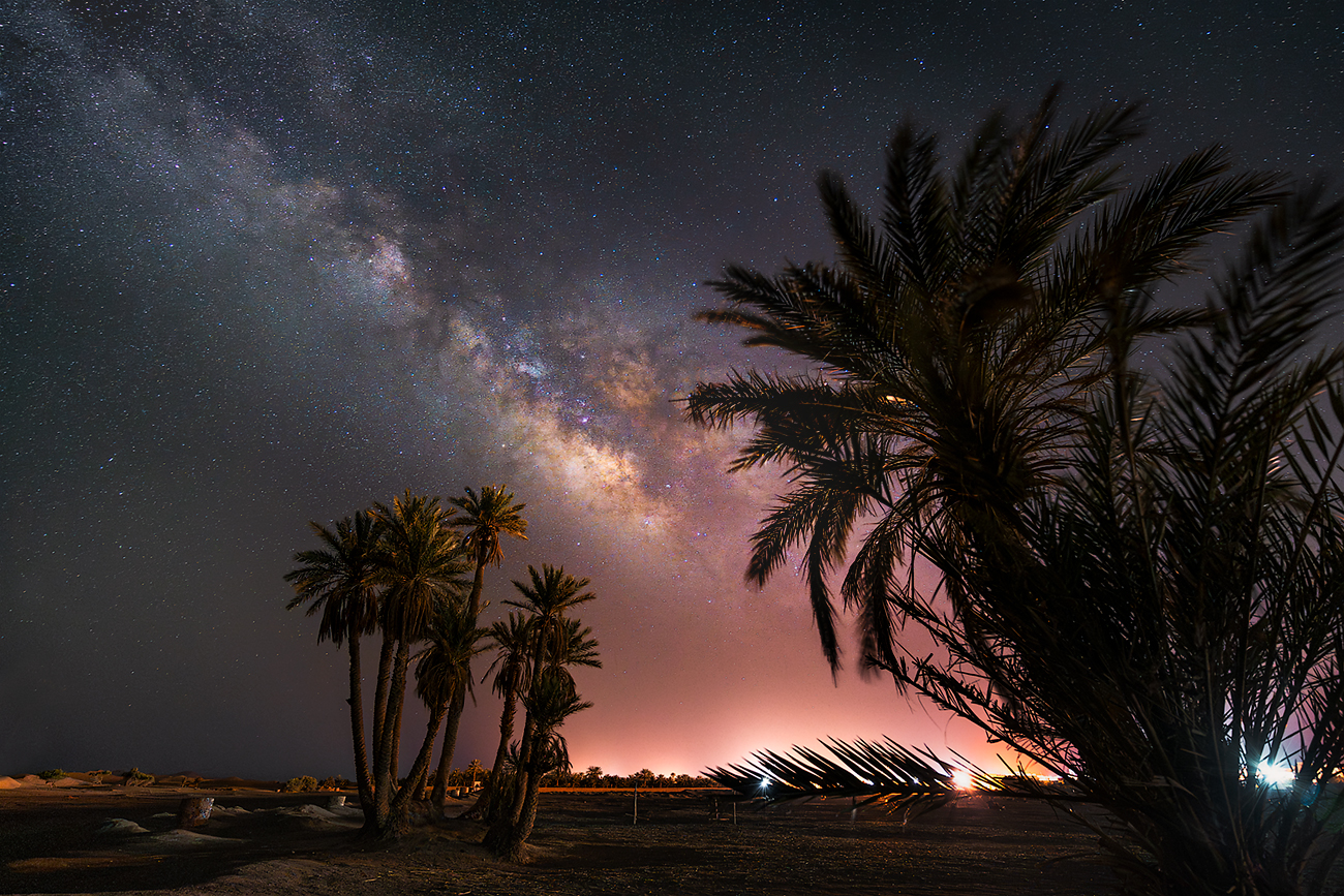 landscape nature scenery night nightphotography stars trees palmtrees milkyway longexposure travel sahara, Александър Александров