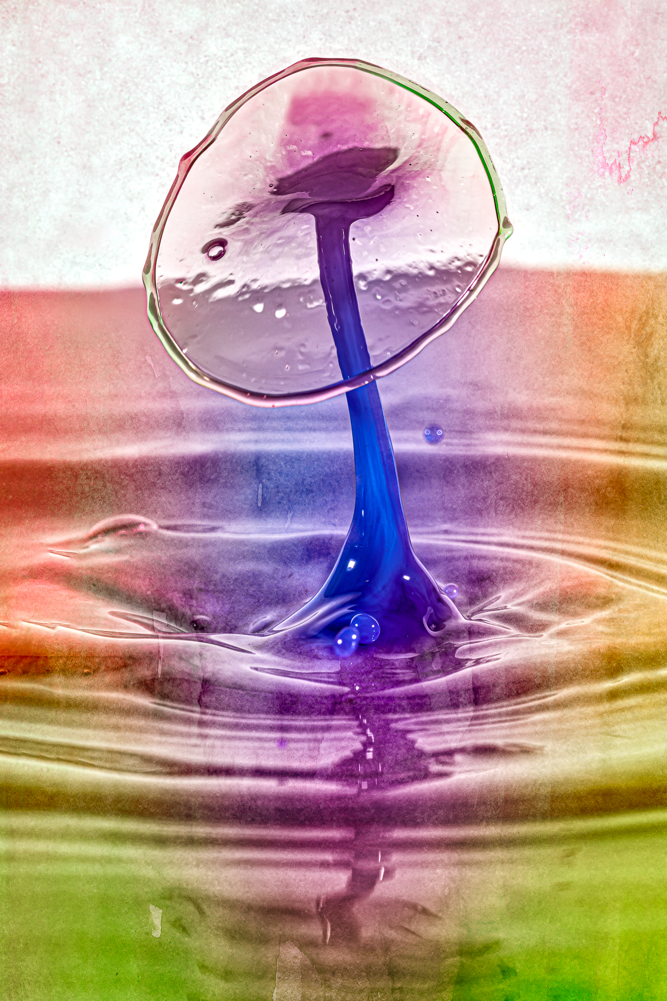 drop water, drop, macro,, Joao R Cortez