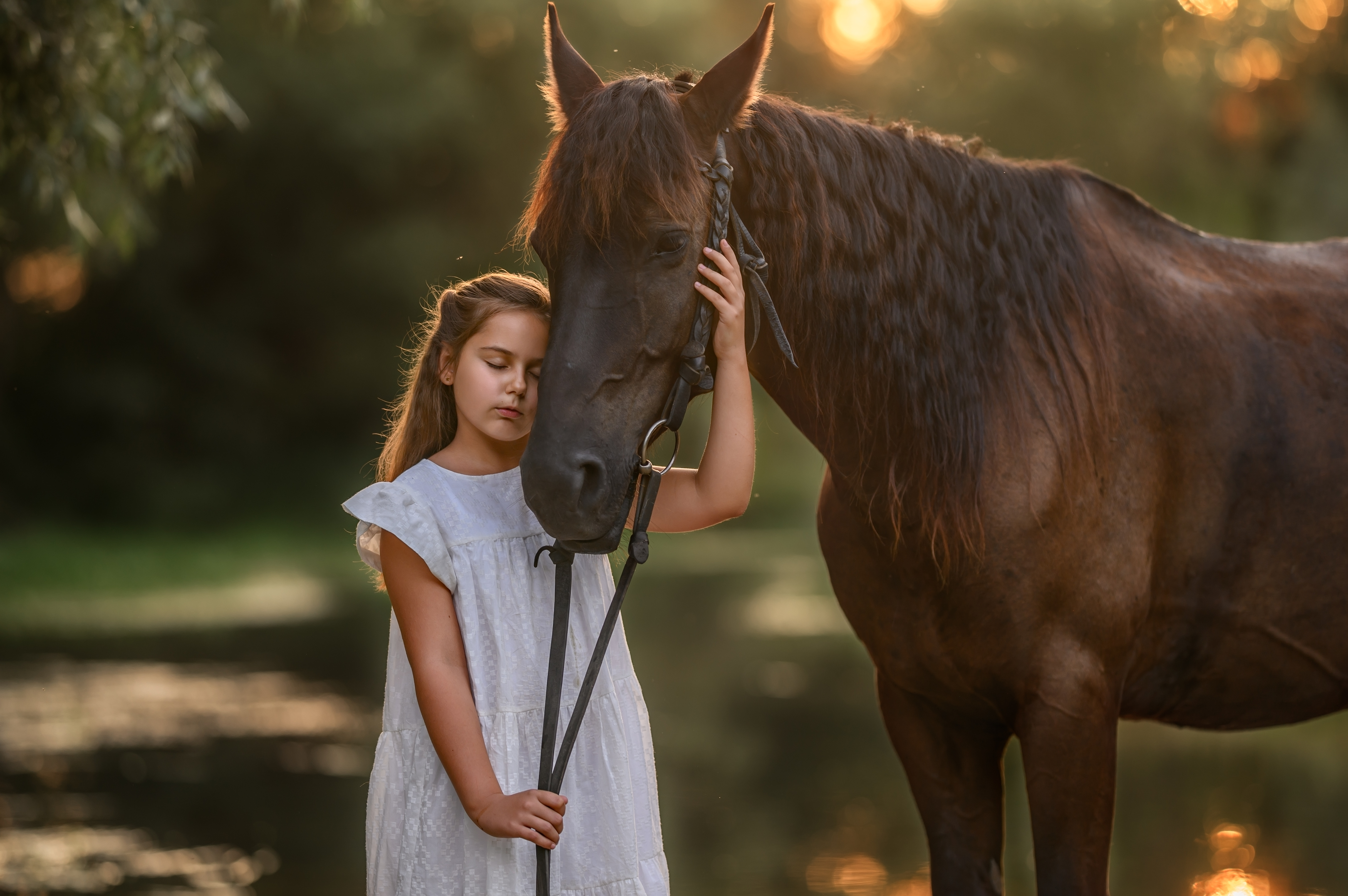 девочка, конь, закат, животные, Наталья Смирнова