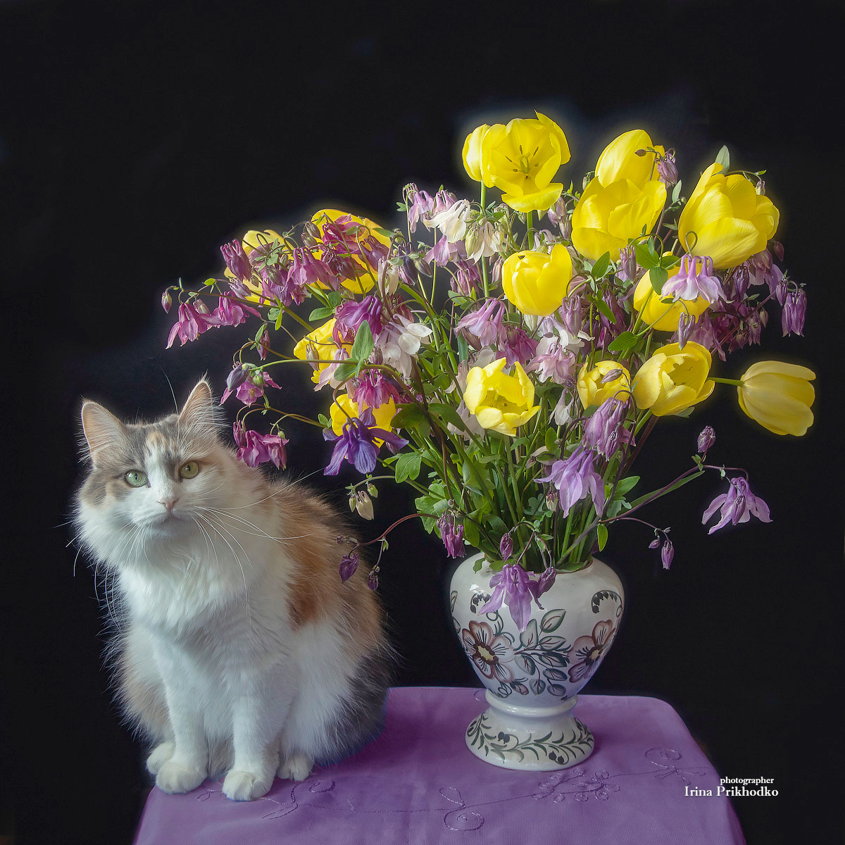 натюрморт, букеты, цветы, кошки, питомцы, постановочное фото, Приходько Ирина