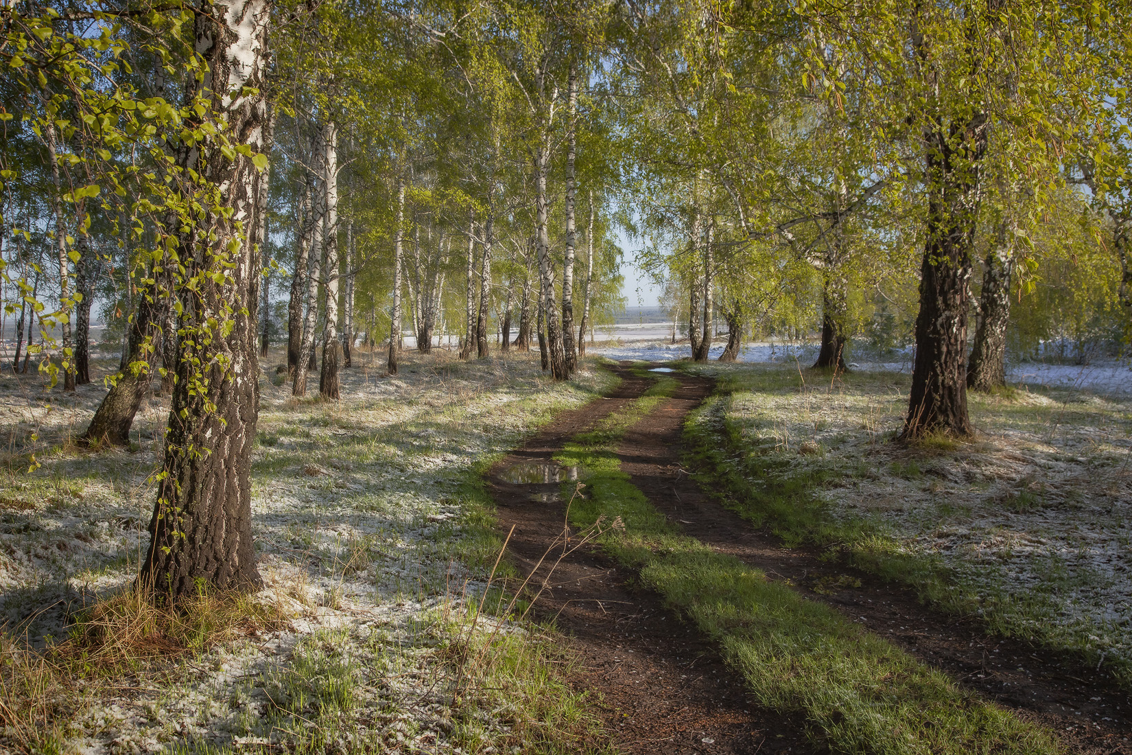 , Алексей Хахлов