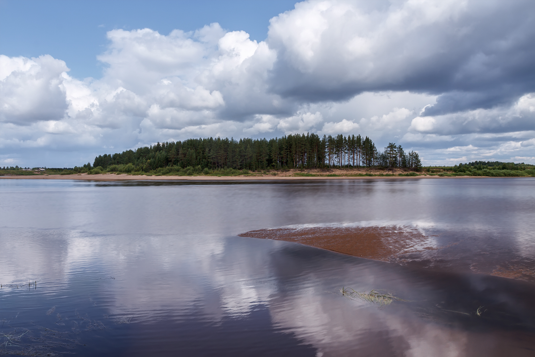 лето июль река пинега вода облака лес архангельская область, Вера Ра