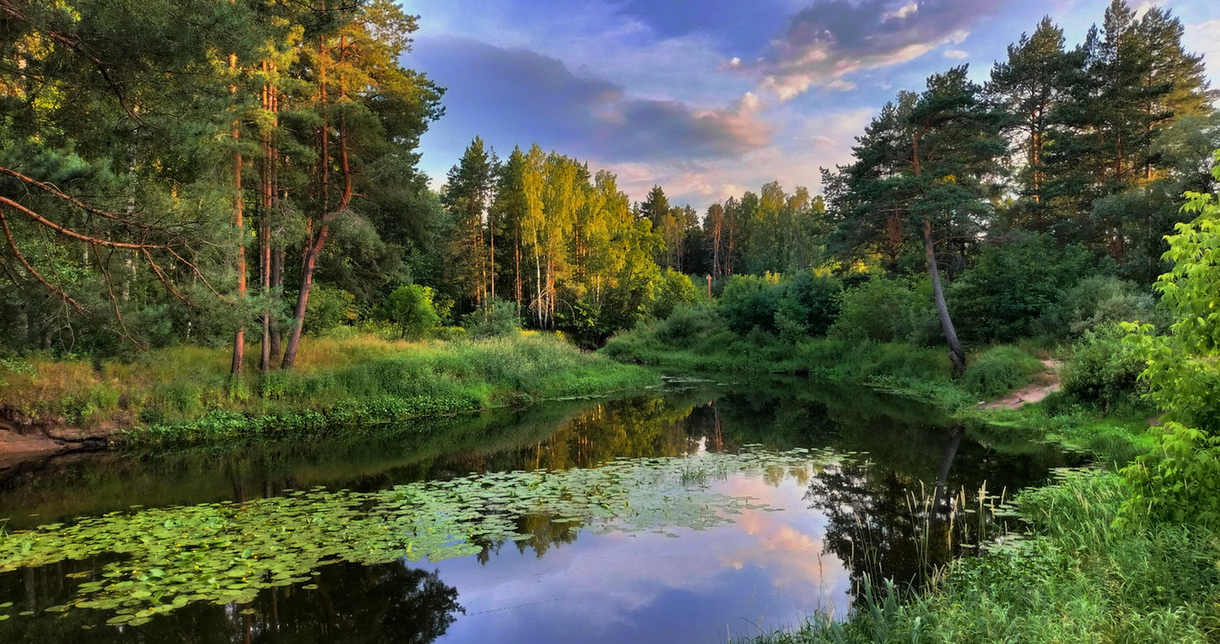 пейзаж ,природа ,лето вечер, Новиков Михаил