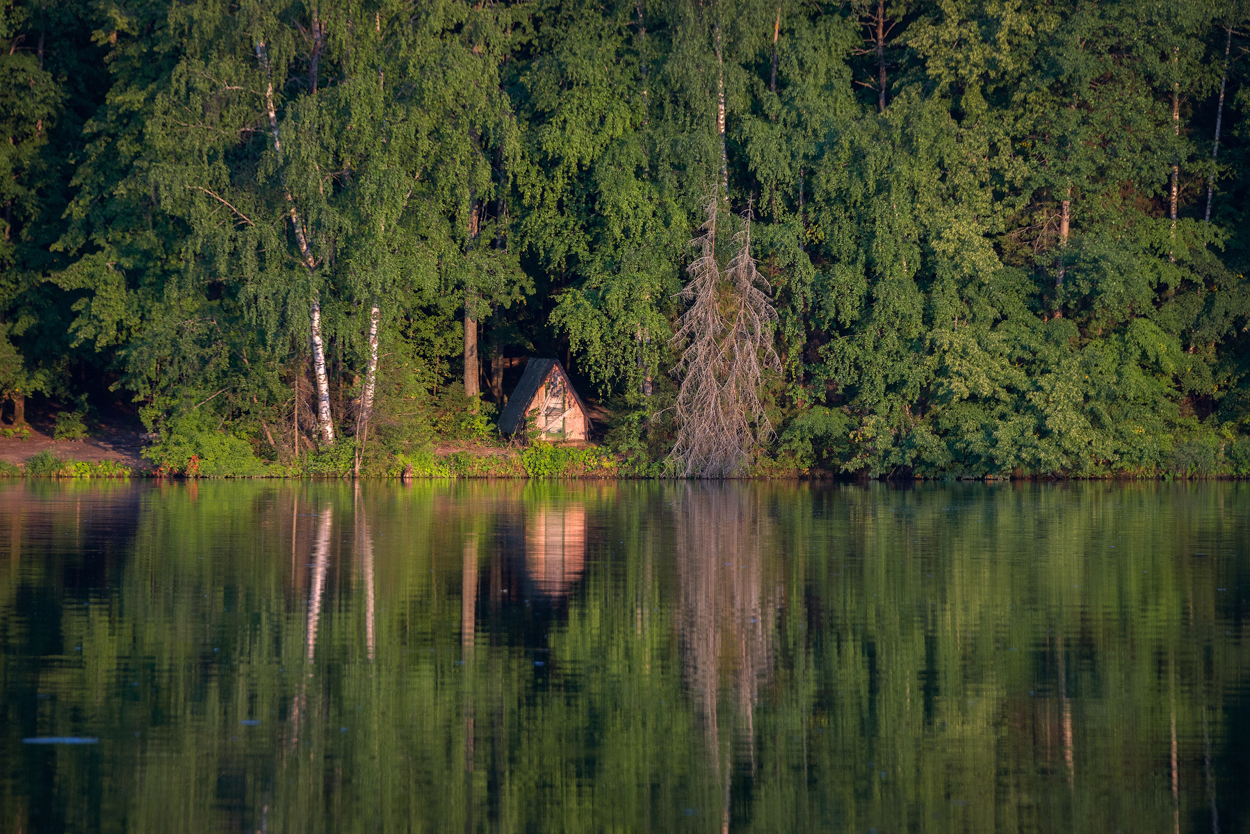 отражение, лес, вода, штиль, домик, Сергей Аникин
