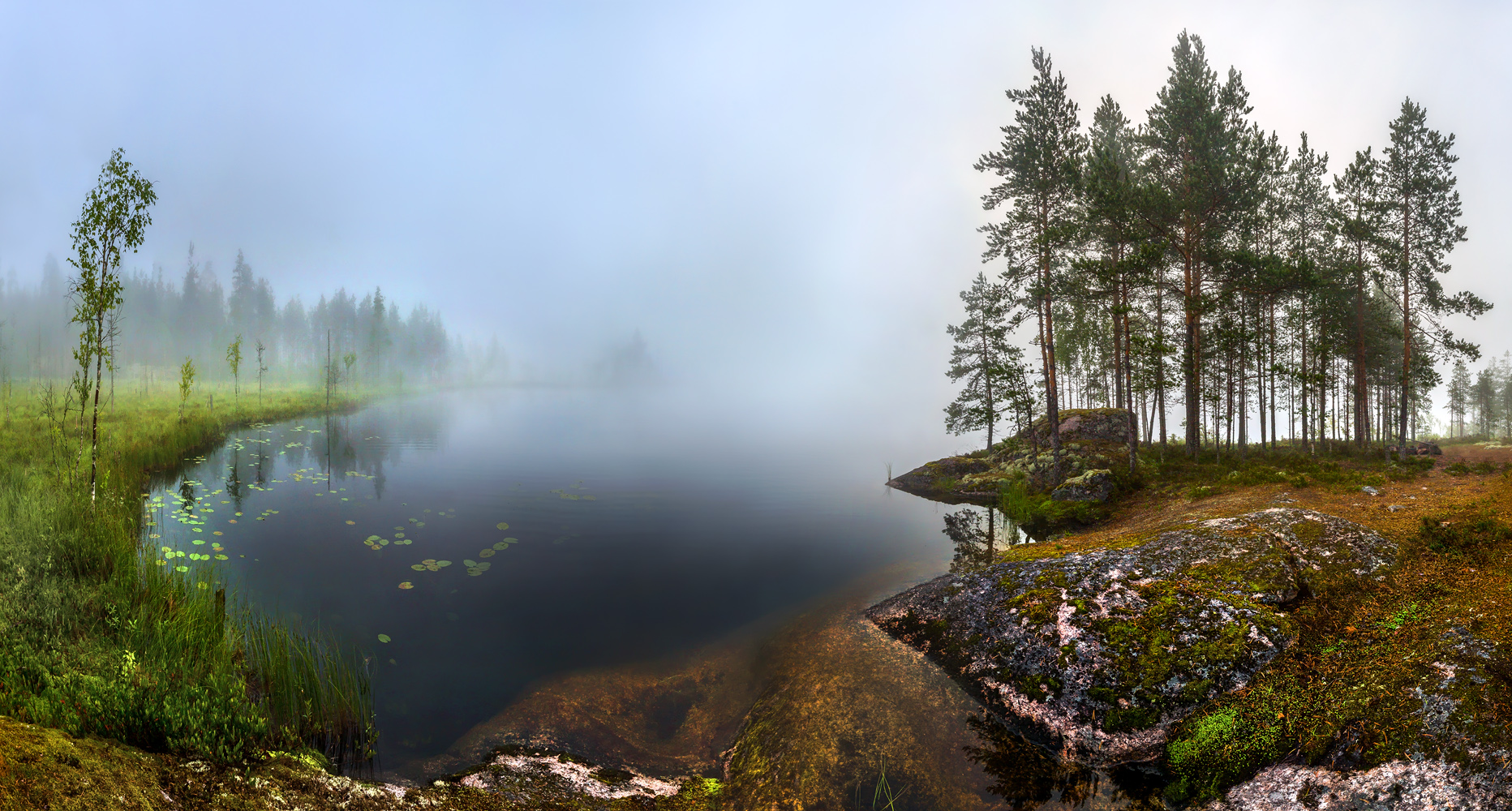 ленинградская область, рассвет, утро, лето, небо, дерево, берёза, сосна, озеро, на берегу, водоём, отражение, бухта, залив, гранит,, Лашков Фёдор