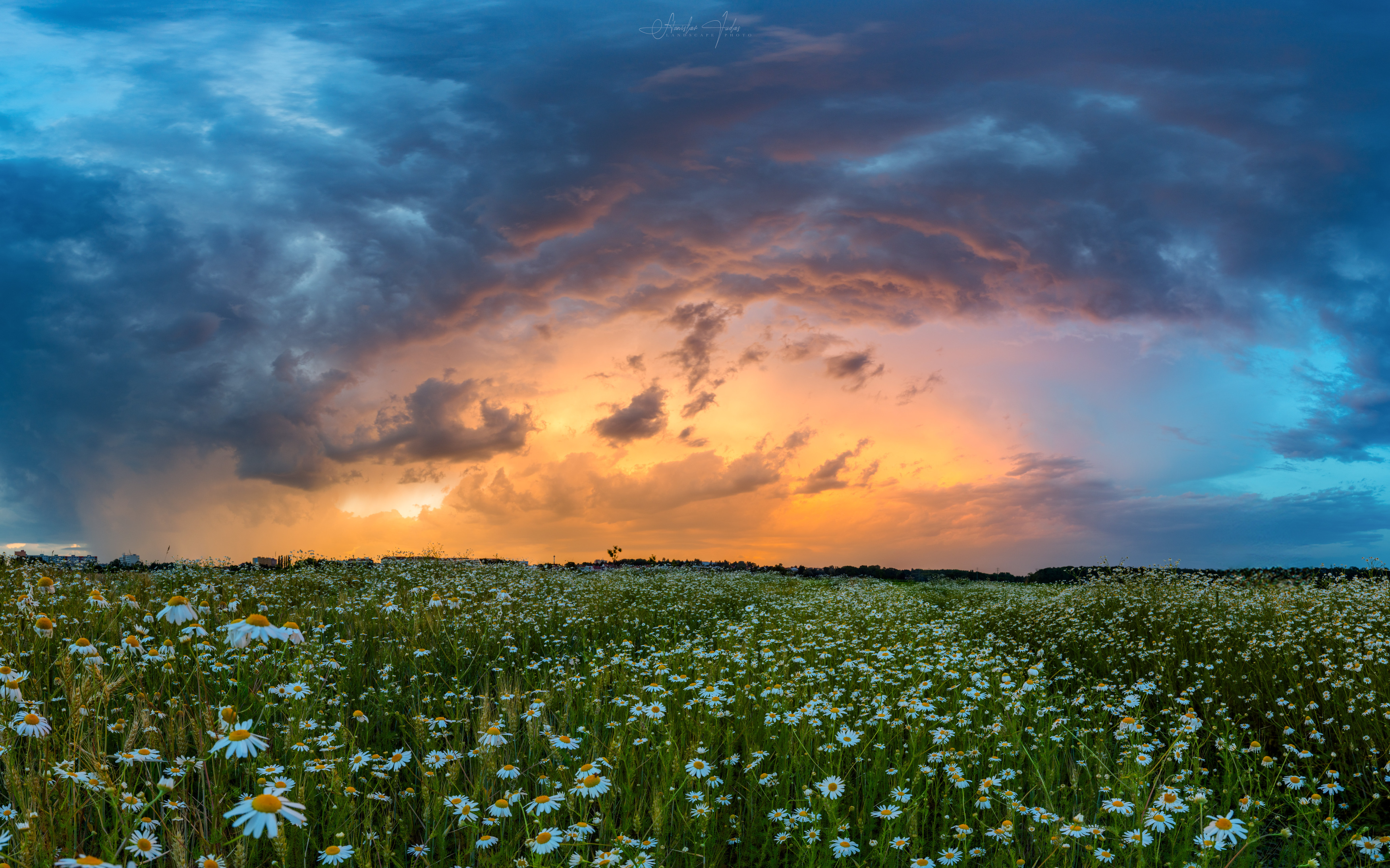 storm, sky, cloudy, clouds, flowers, Stanislav Judas