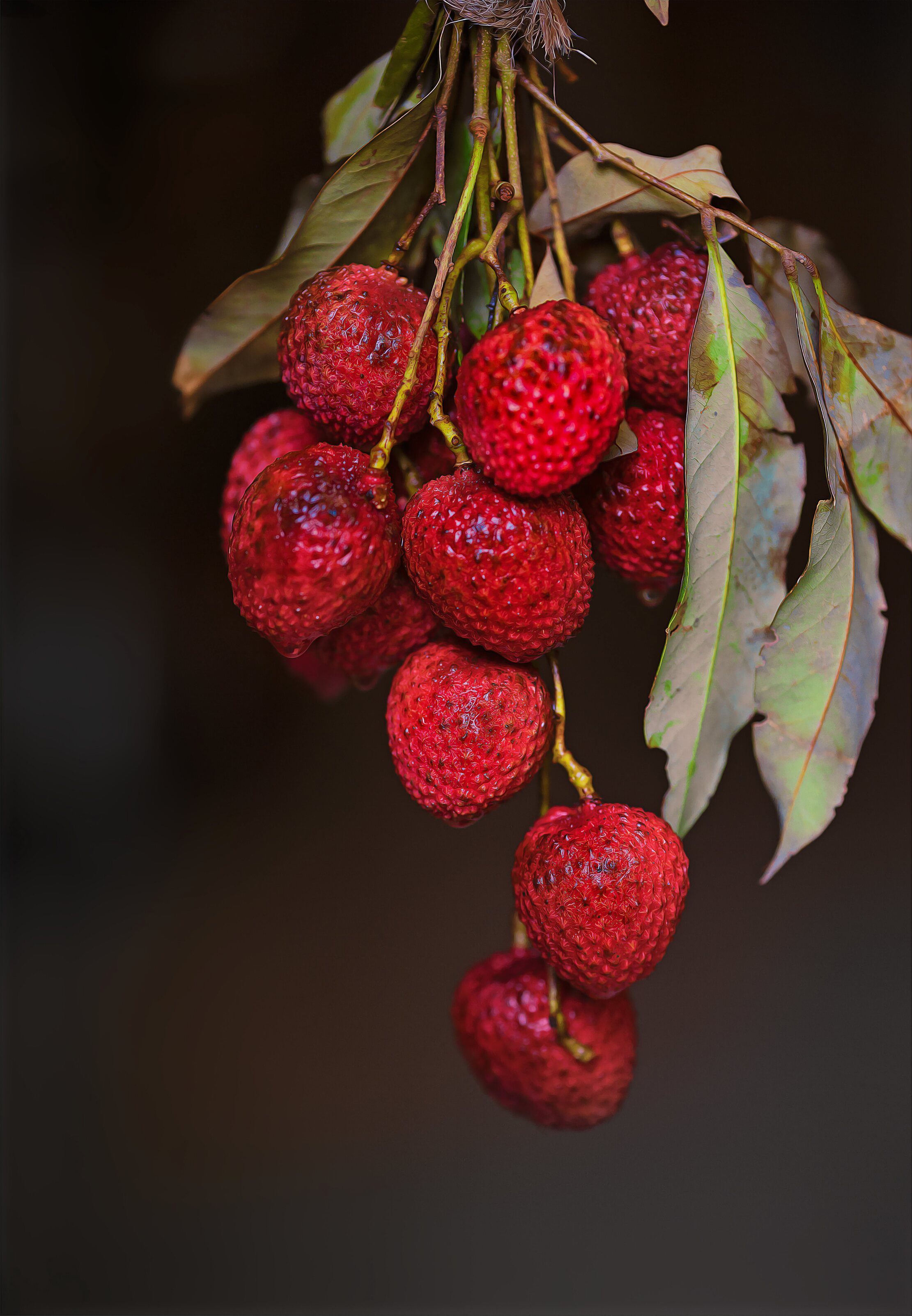 fruit,lychee,red,art,sweet,closeup,details, G N RAJA