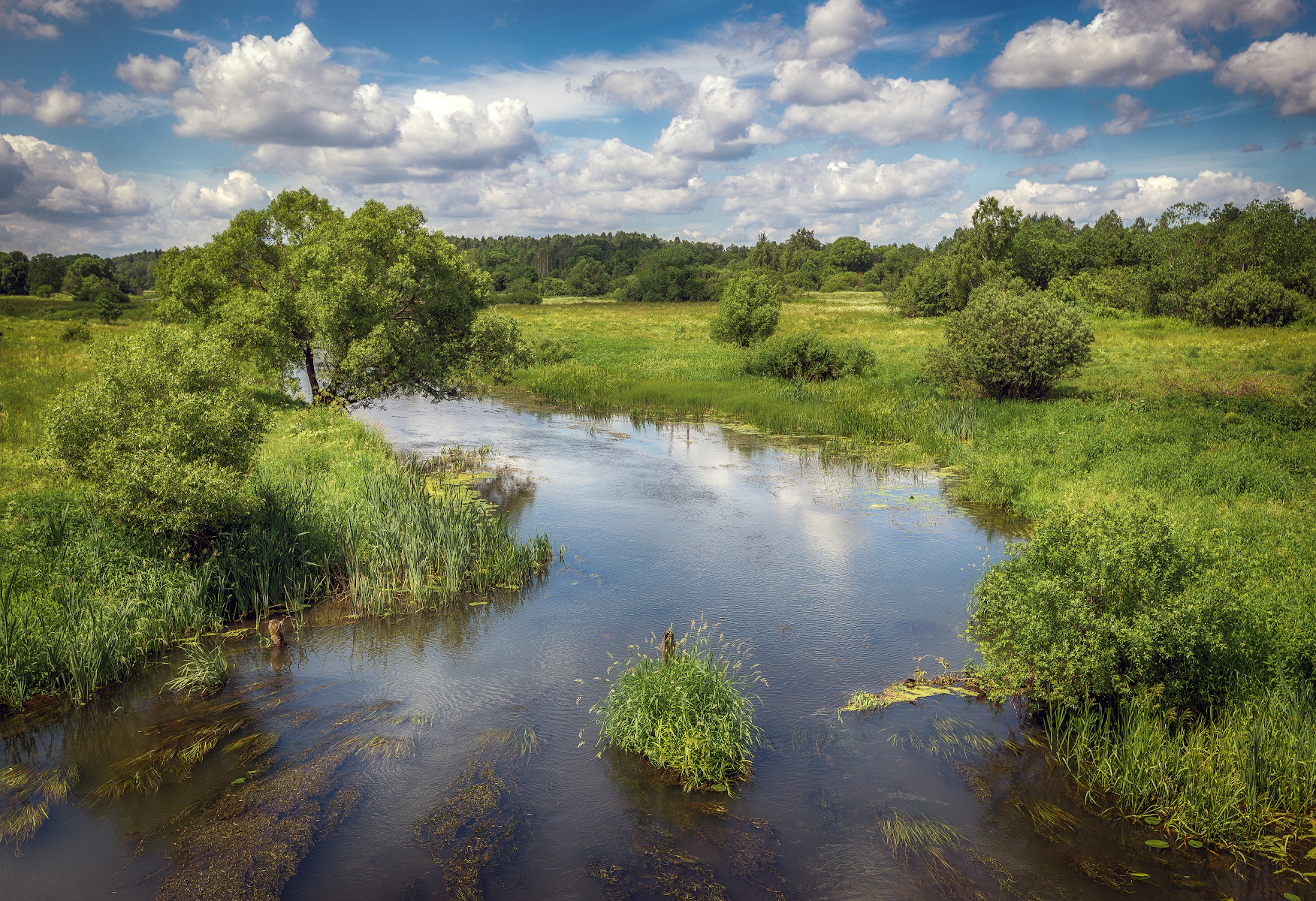 село Махра, Молокча, лес, Сергей Аникин