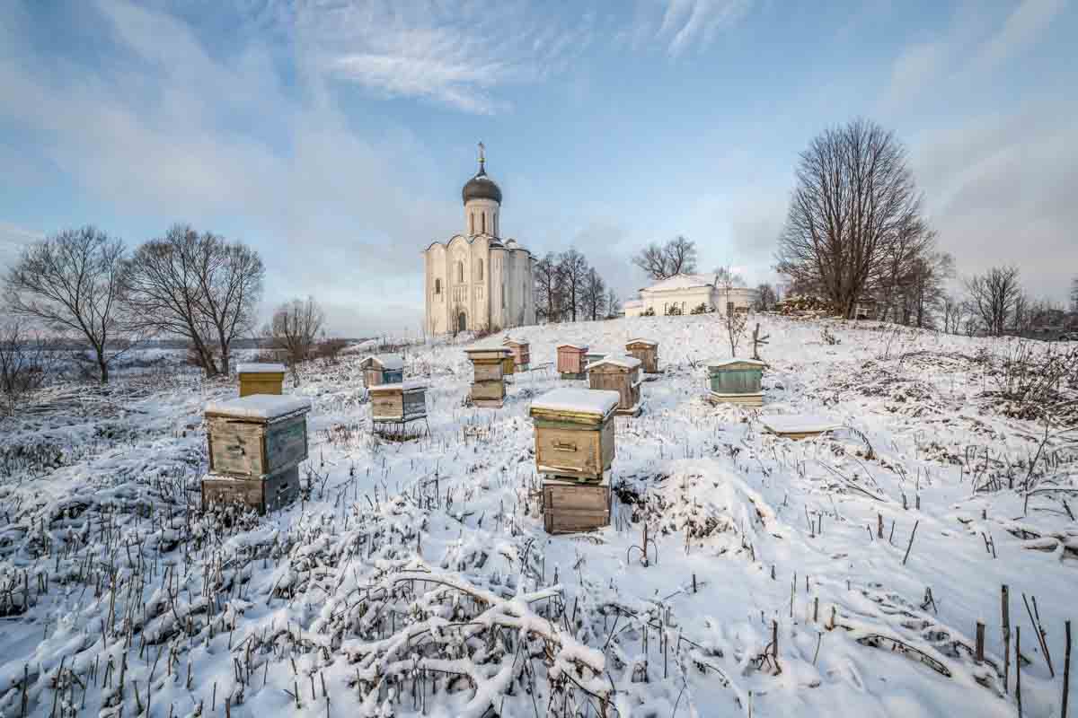 , Ксения Лайт