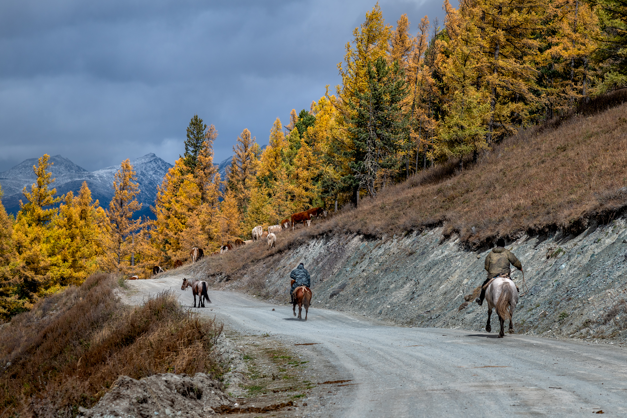 осень, Горный Алтай, дорога, Юрий Матвеев