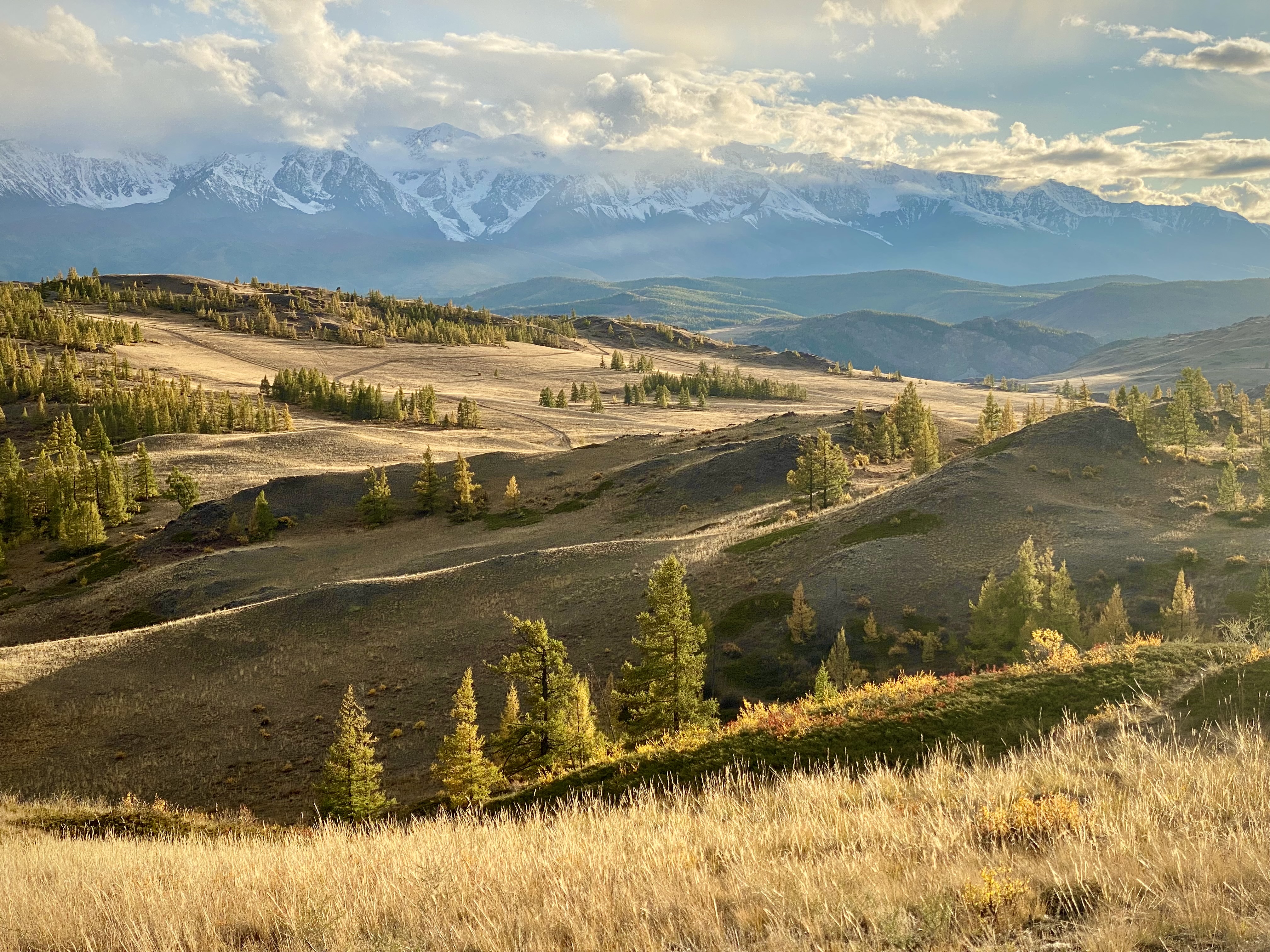 алтай, чуйская  долина, курайская степь, горы, осень, пейзаж, природа,, Сергей Шульга