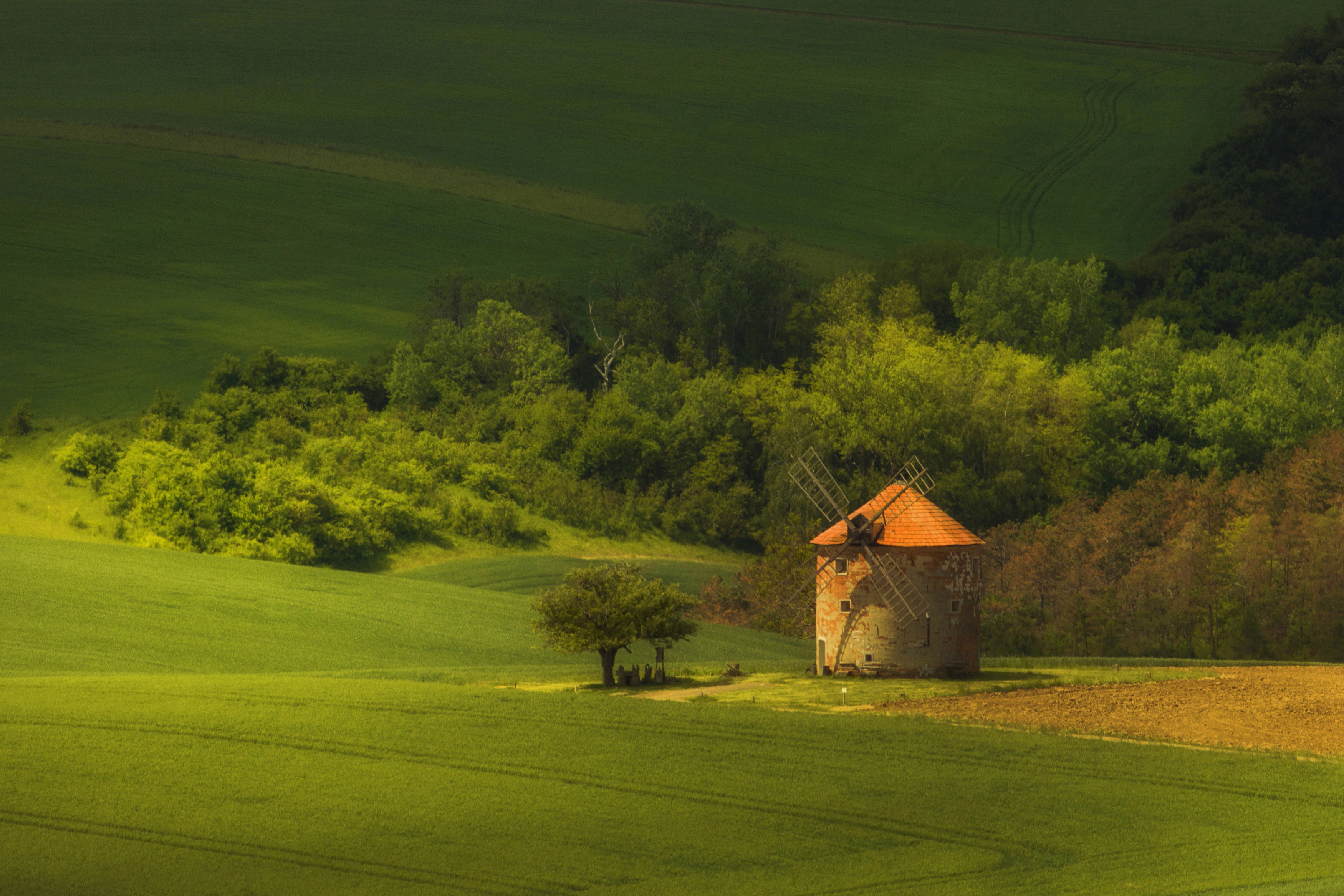 Horizontal, Field, Agriculture, Tree, Grass, Hill, Green, Landscape, Windmill, Rural, Moravia, Moravske-Toskansko, Czech-Republic, Green, Fields, Damian Cyfka