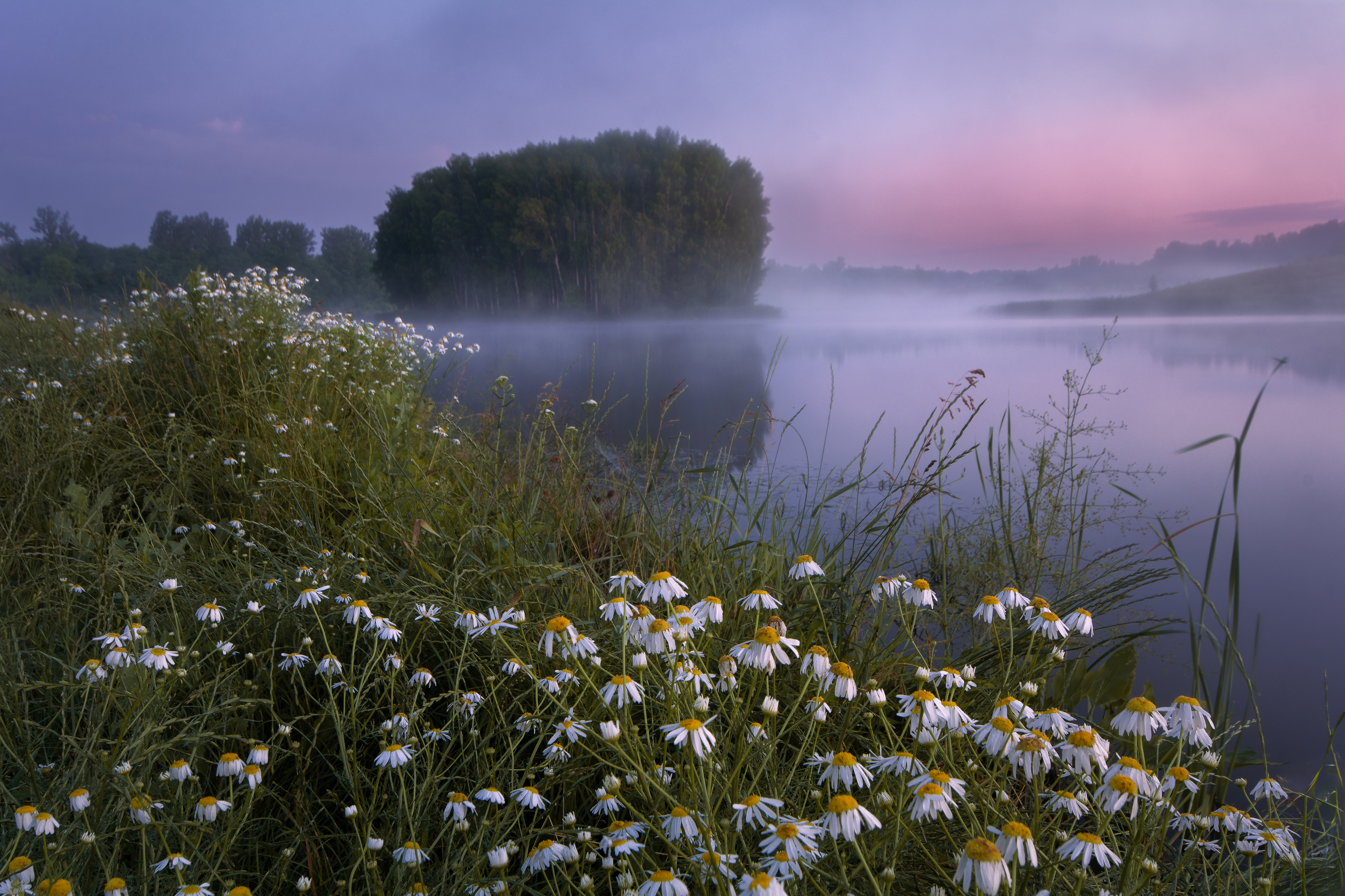 утро озеро туман рассвет цветы, Павел Абакумов
