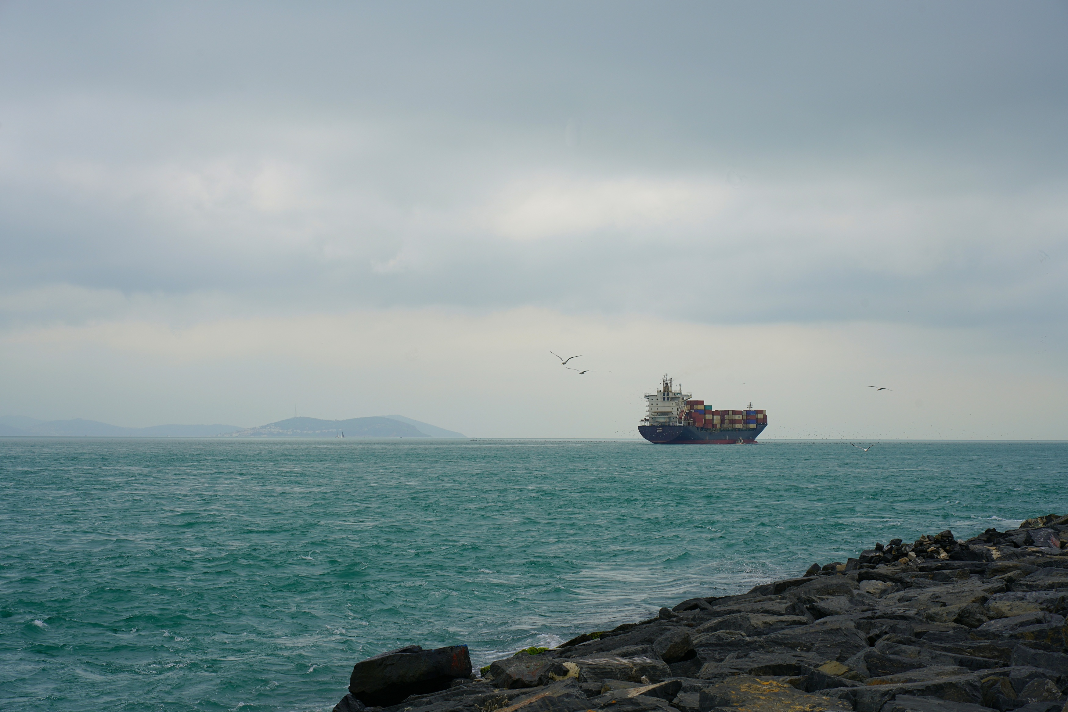 strait, sea, shipping, ship, horizon, shore, sky, seagull, bird, movement,  Сергей Андреевич