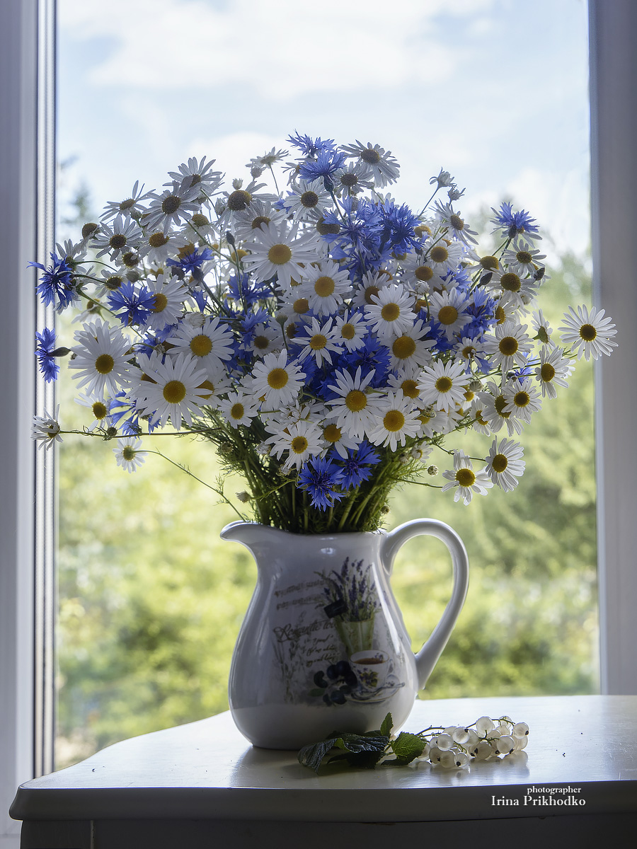 натюрморт, букеты, цветы, полевые цветы, открытое окно, Приходько Ирина