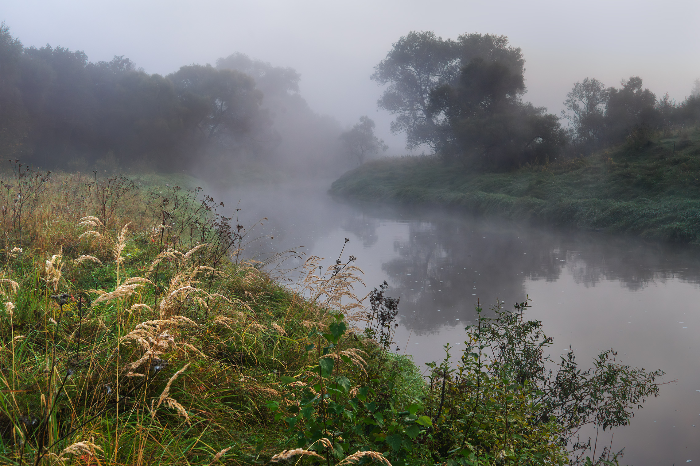 сентябрь, туман, река истра, Медведев Александр