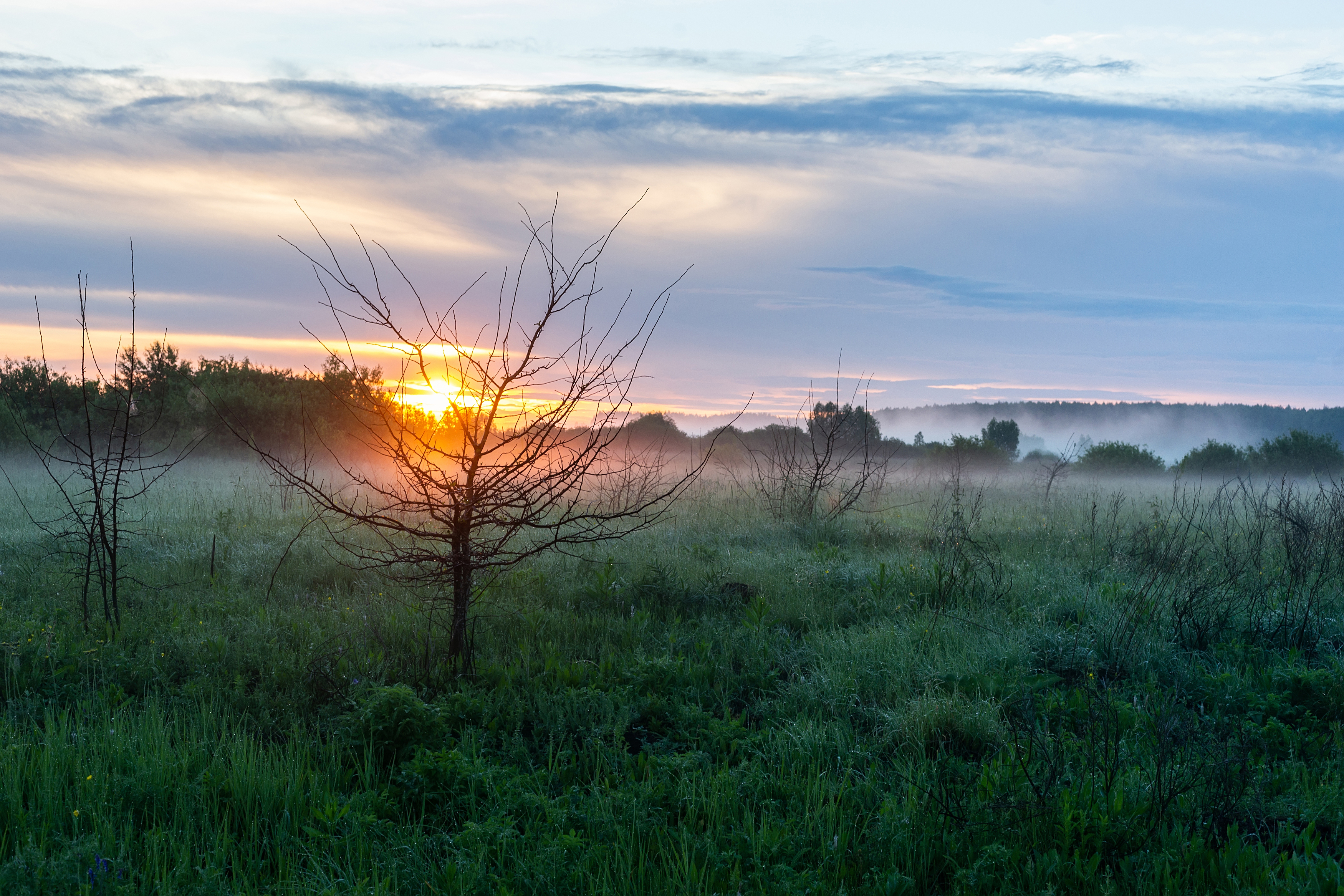 landscape; sunset; nature; fog; sky; background; beautiful; mist; russia; morning;, Корнеев Алексей