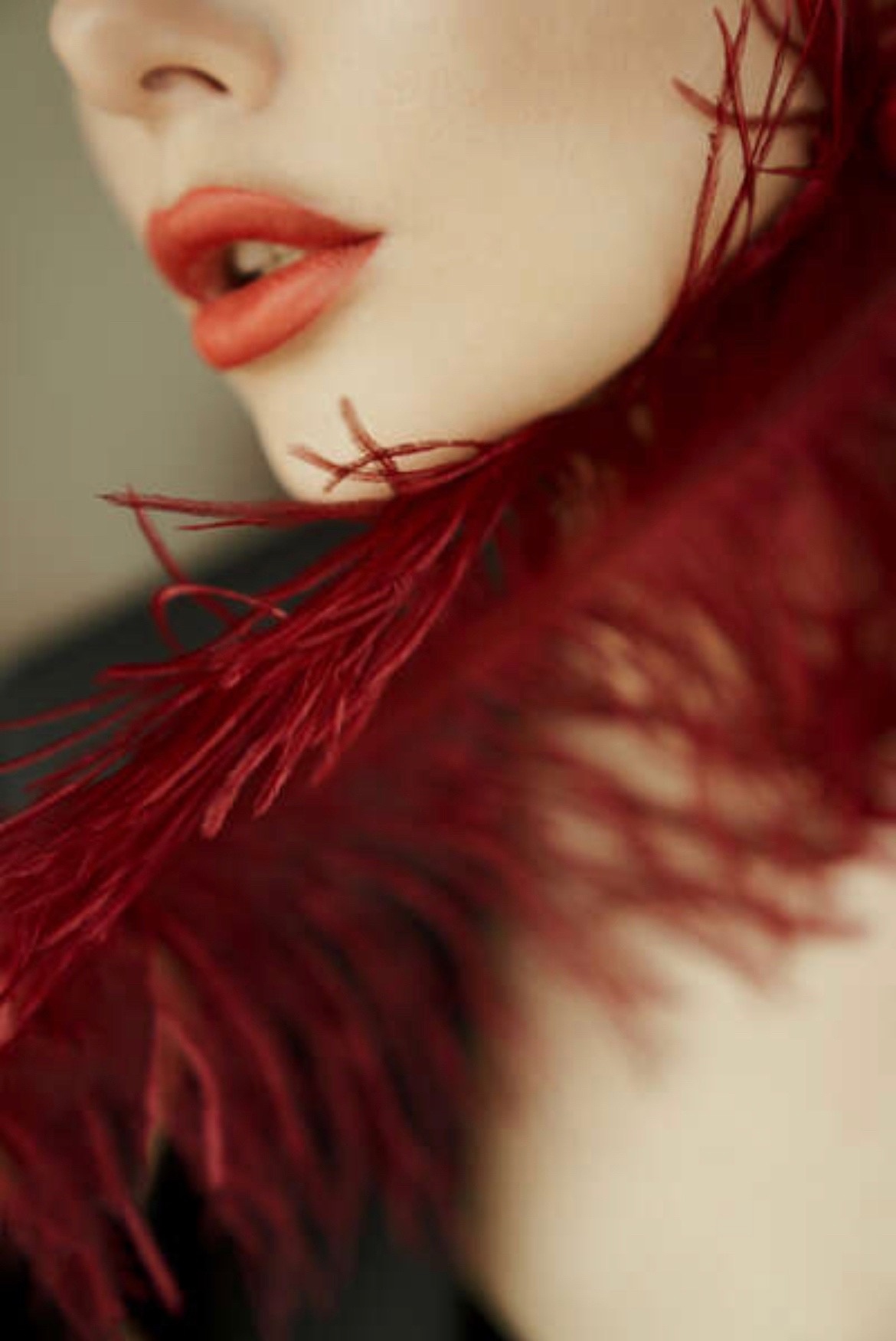 губы, перо, красный, девушка, шея, скулы, запах, аромат, нежность, Дарья Комарова