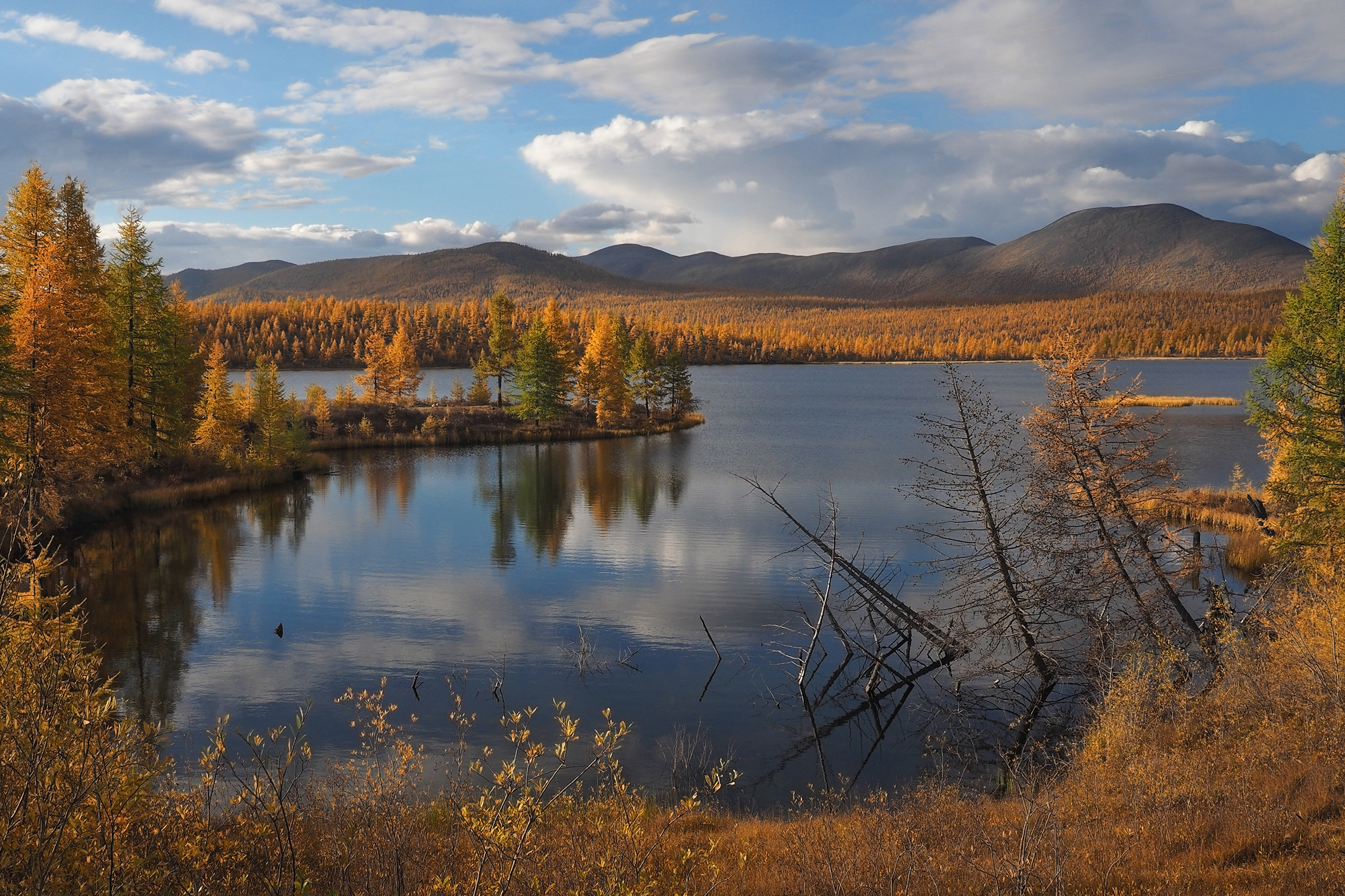 , Александр Попов