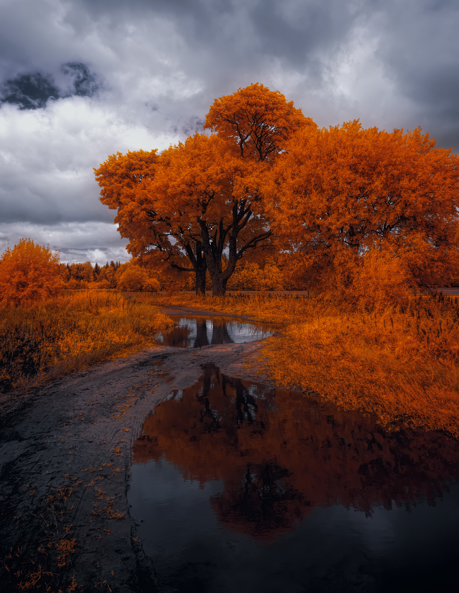 infrared,ик-фото,инфракрасное фото, инфракрасная фотография, пейзаж, лето,  Sixten (Сергей)