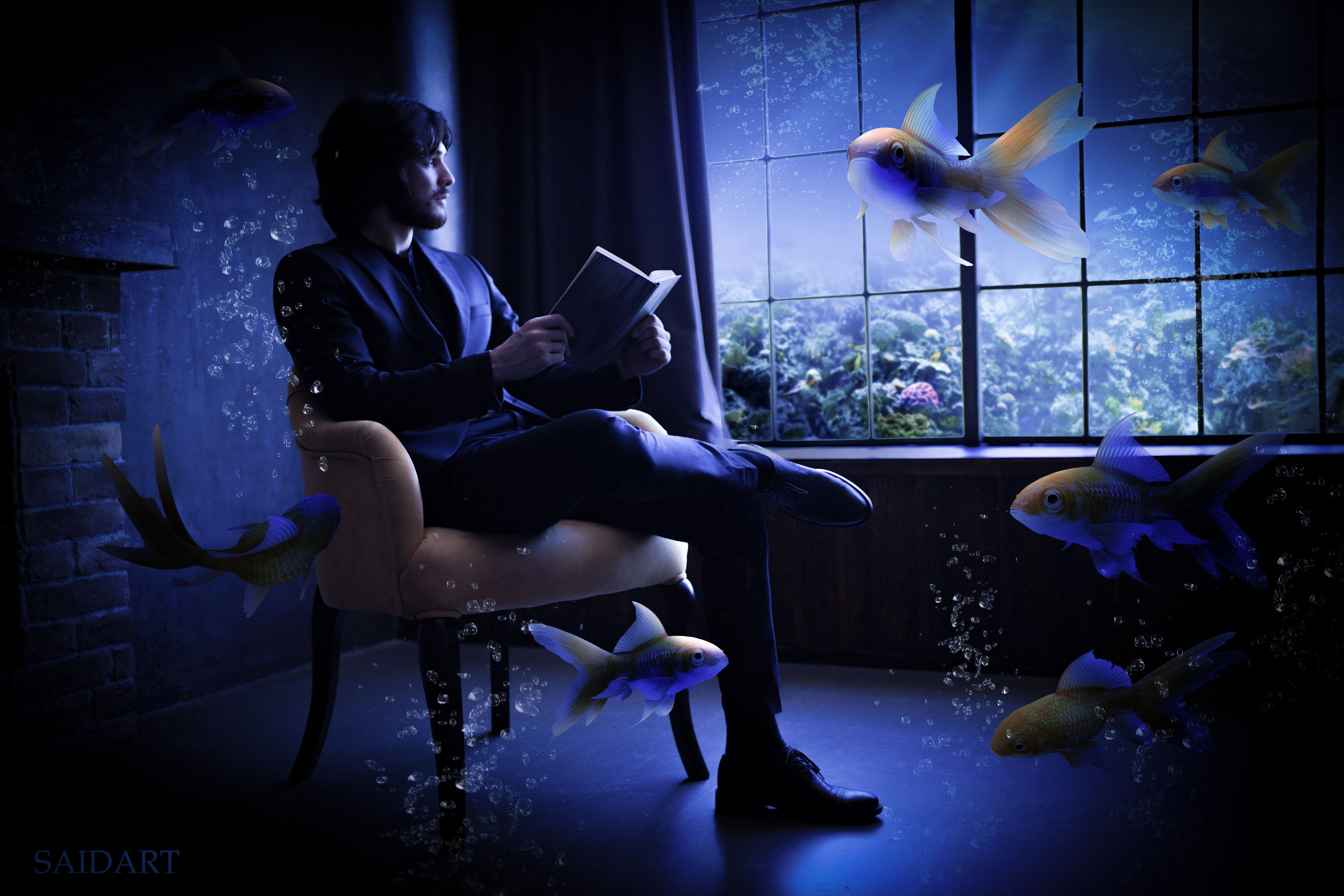 fish, reading, window, SaidArt