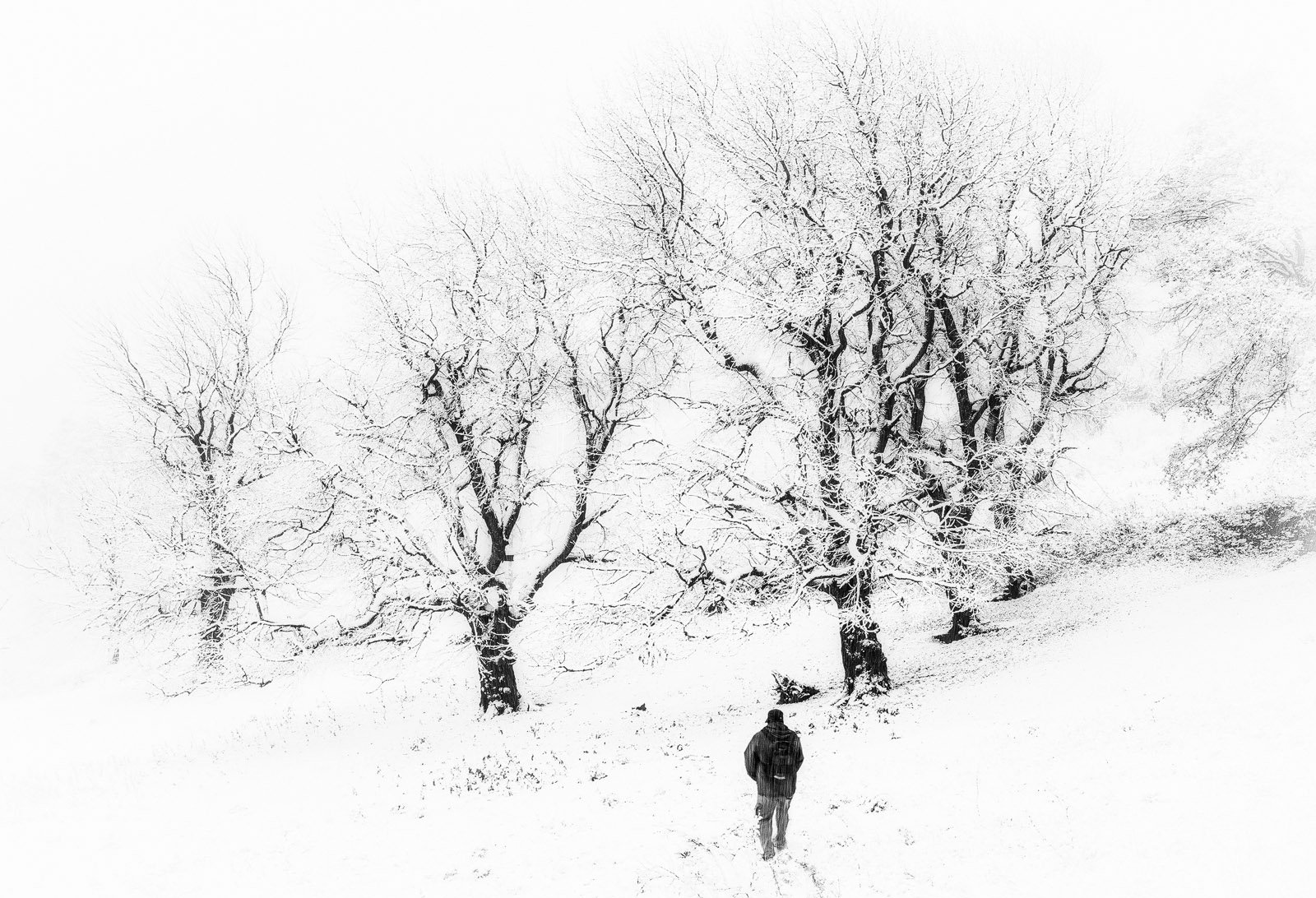 Black and white, Silhouette, Winter, Serban Bogdan