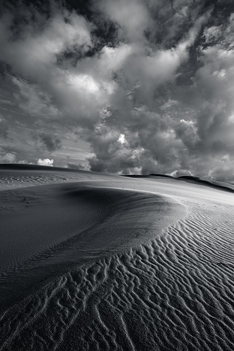 дюны песок национальный парк куршская коса, Кулинич Артём