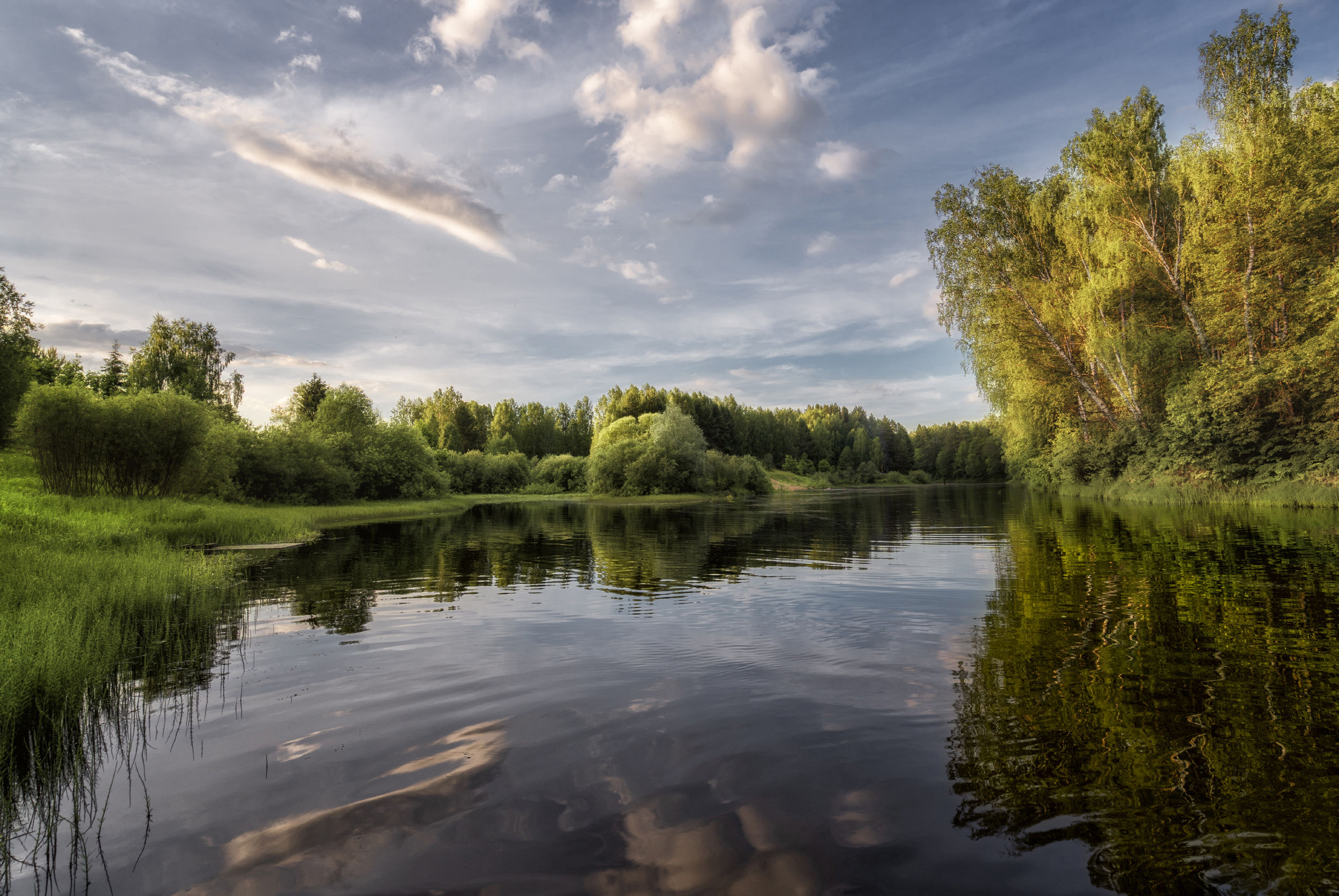 лето, река, деревья, небо, Колесов Андрей