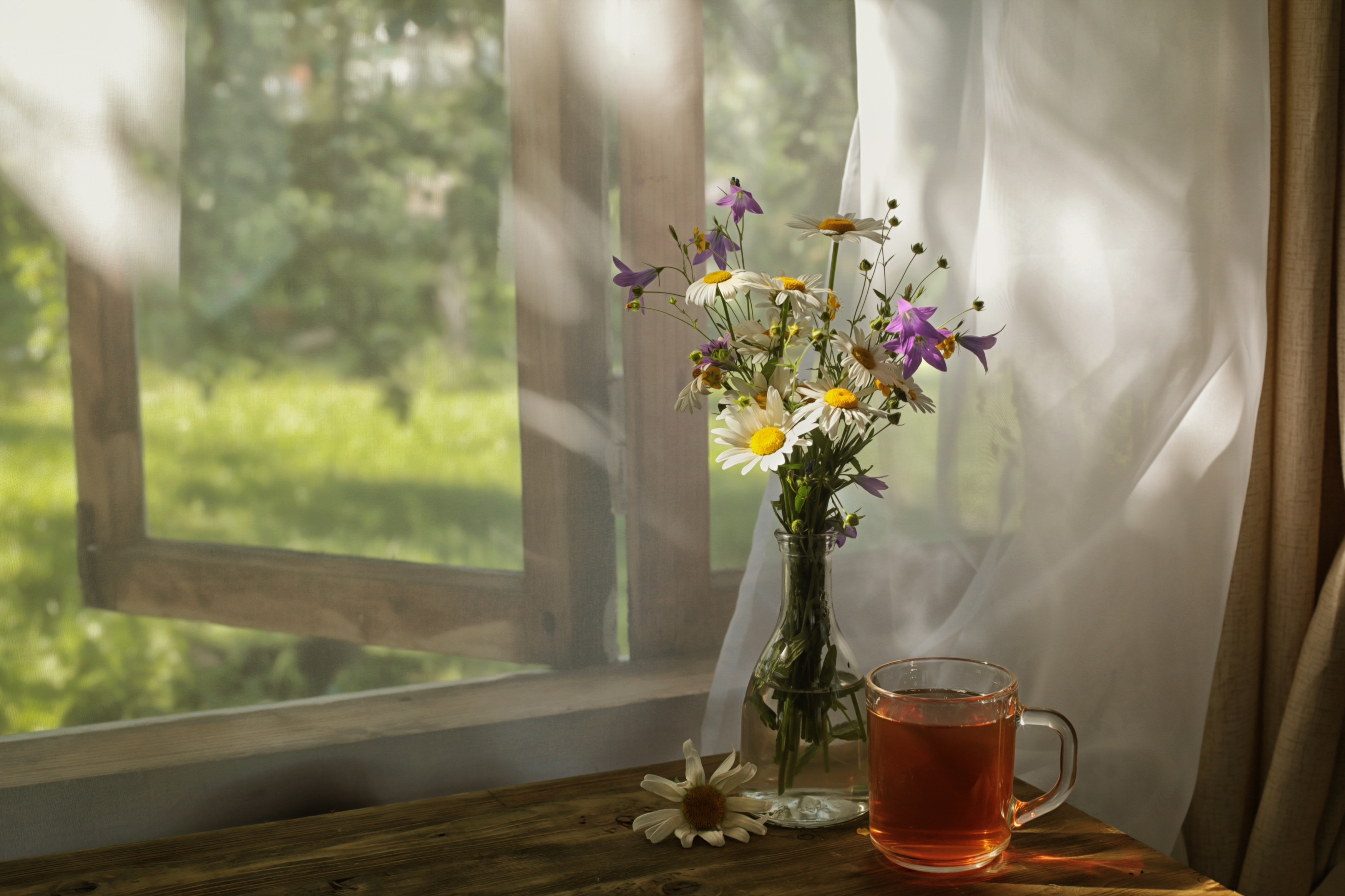 цветы, чай, натюрморт, напиток, аромат, вкусно, flowers, still life, drink, aroma, delicious, bouquet , flowers, Стасов Виталий