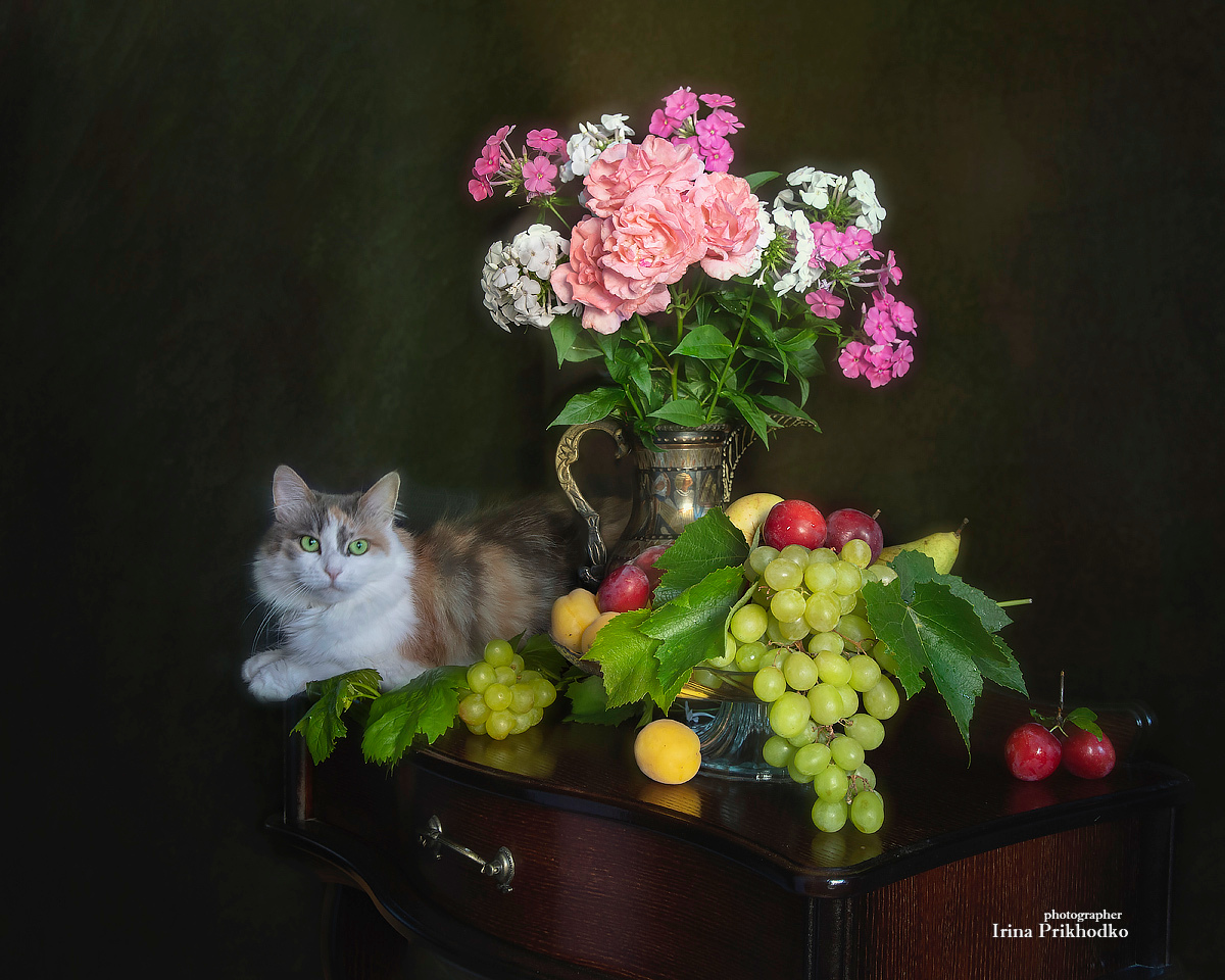 натюрморт, цветы. фрукты, лето, питомцы, кошка, Приходько Ирина