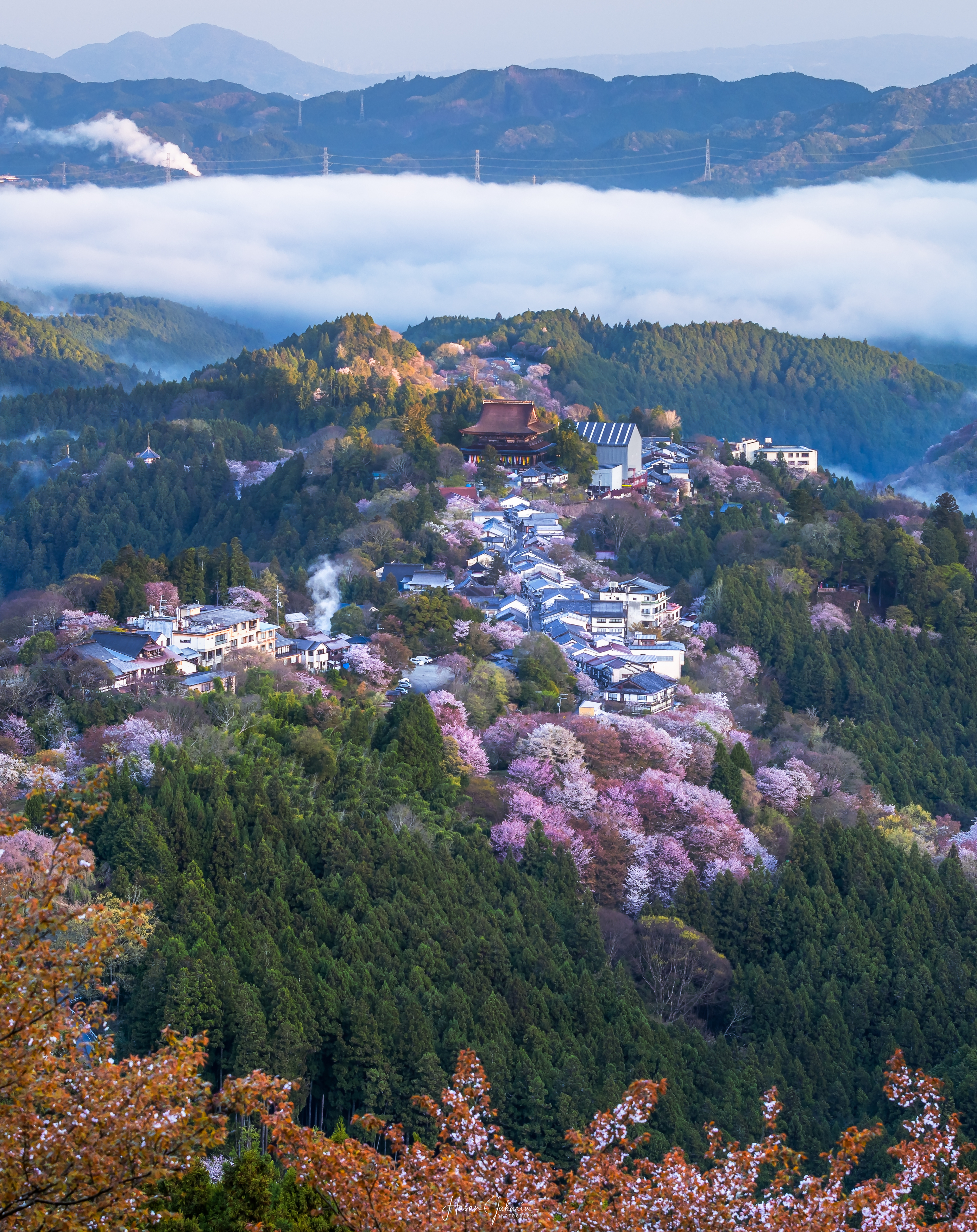 #nara #japan #spring #temple #flowers #mountaion, Hasan Jakaria