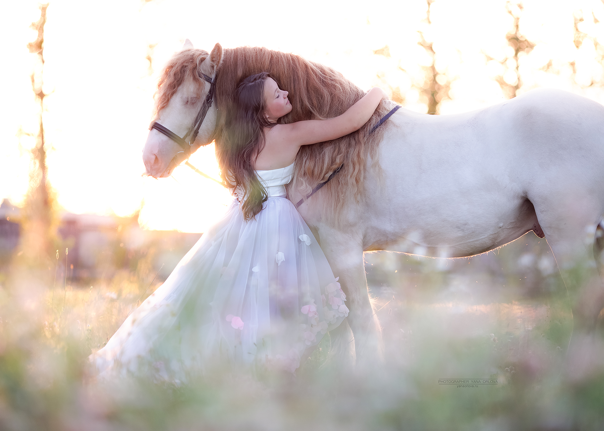 horse, horses, лошадь, конь, конныйфотограф, кэнон, canon, конный фотограф Яна Орлова, 7020028, лошади, фотографияслошадью, фотосессияслошадью, фотосессиислошадьми, коннаяфотография, pferd, horsephotographer, женский портрет, девушка , Яна Орлова