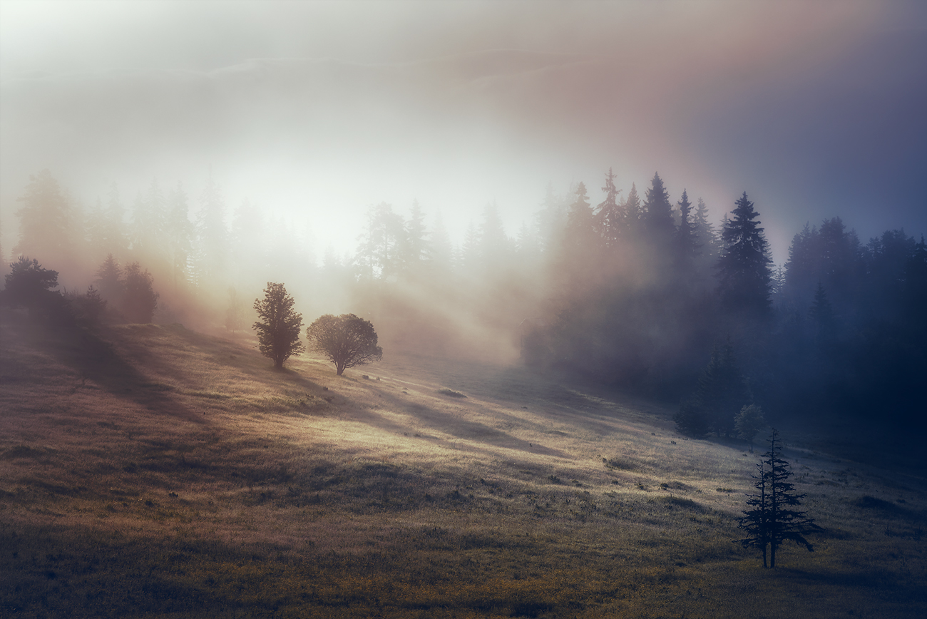 landscape, nature, scenery, summer, sunrise, morning, fog, foggy, mist, misty, clouds, mountain, trees, flowers, пейзаж, Александър Александров