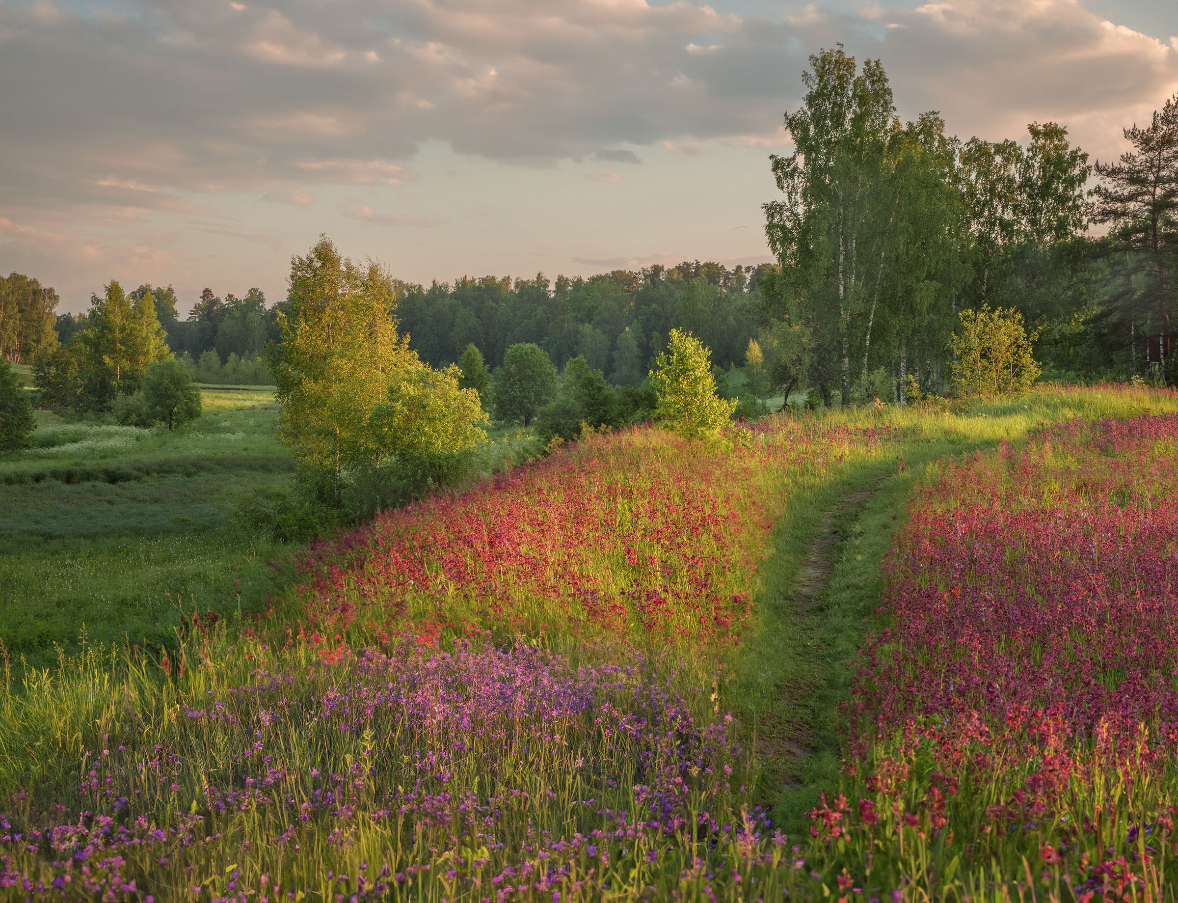 Фототуры с Владимиром Рябковым, #topnature #russpasibo #magic_shots #lovelyRussia #sunset_vision #exclusive_sky  #exclusive_shots #loves_russia2 #photoarena_nature #nature_sultans #nature_perfection #rsa_sky #rsa_sunset #photorussia #rsa_naturepics #sunse, Владимир Рябков