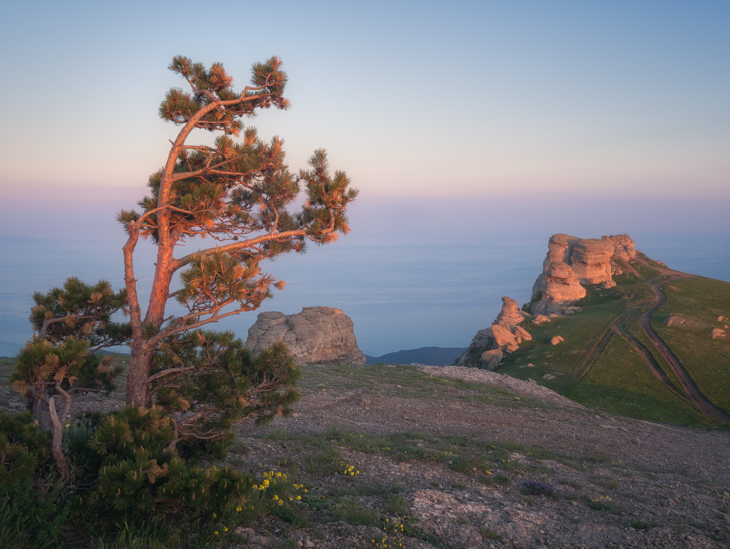 крым, море, закат, горы, демерджи, сосна,  Алексей