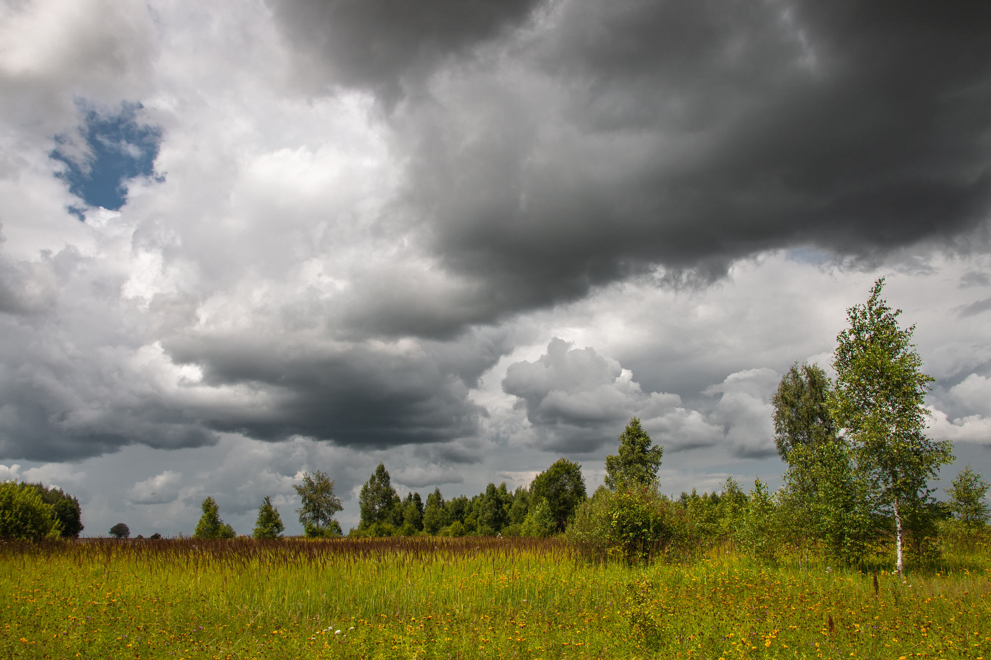 , Александр