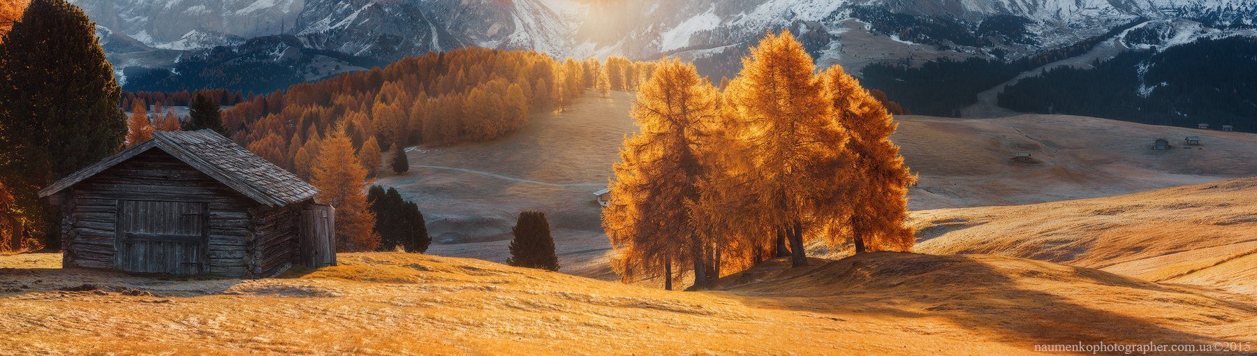 горы,	доломиты,	италия, лиственница,	осень, панорама,	свет,	утро,	alpe di siusi, Александр Науменко