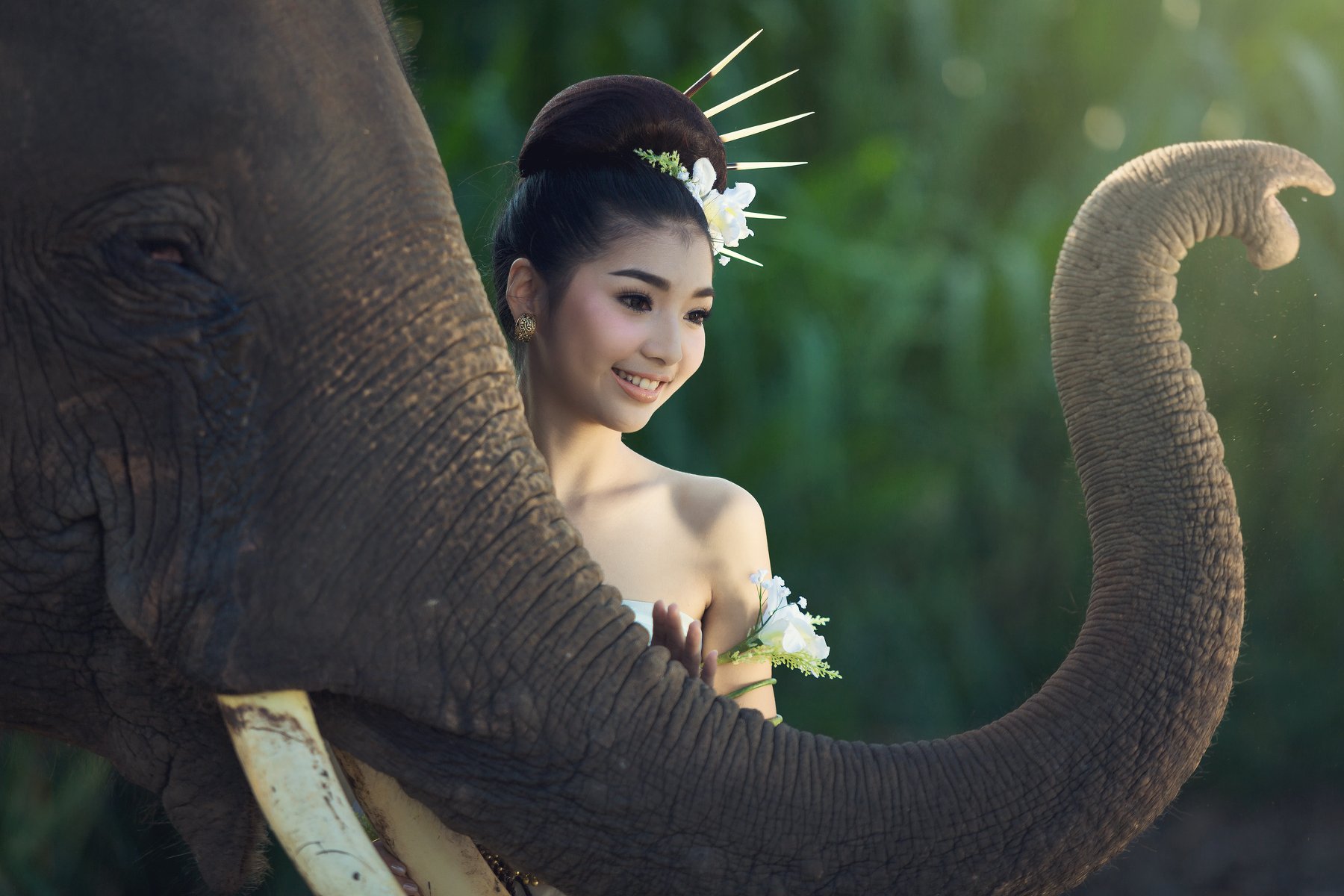 portrait,women,elephant,ivory,thailand,beautiful,, SUTIPORN SOMNAM