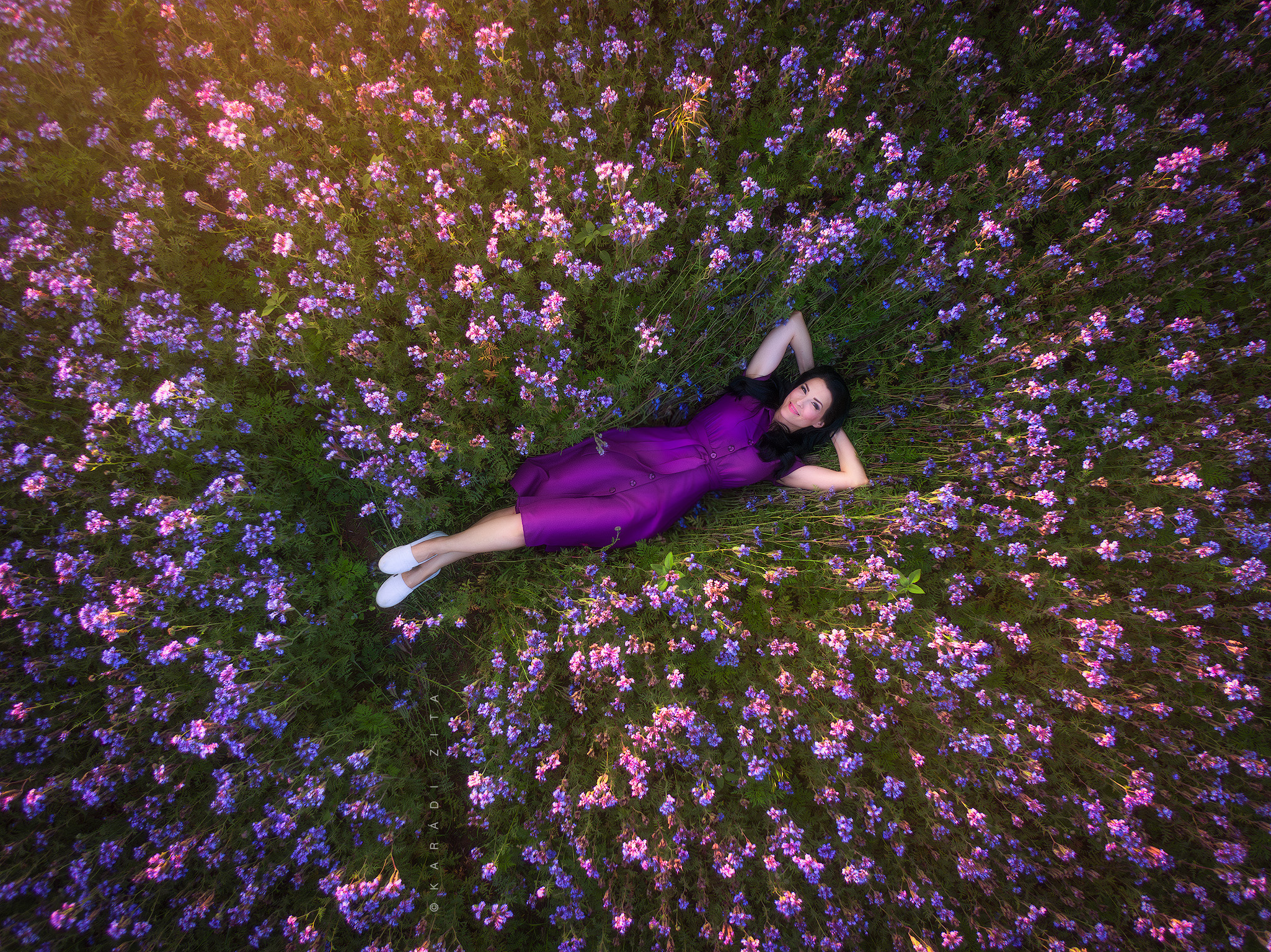 hungary, woman, flowers, purple, drone, air,, Karádi Zita