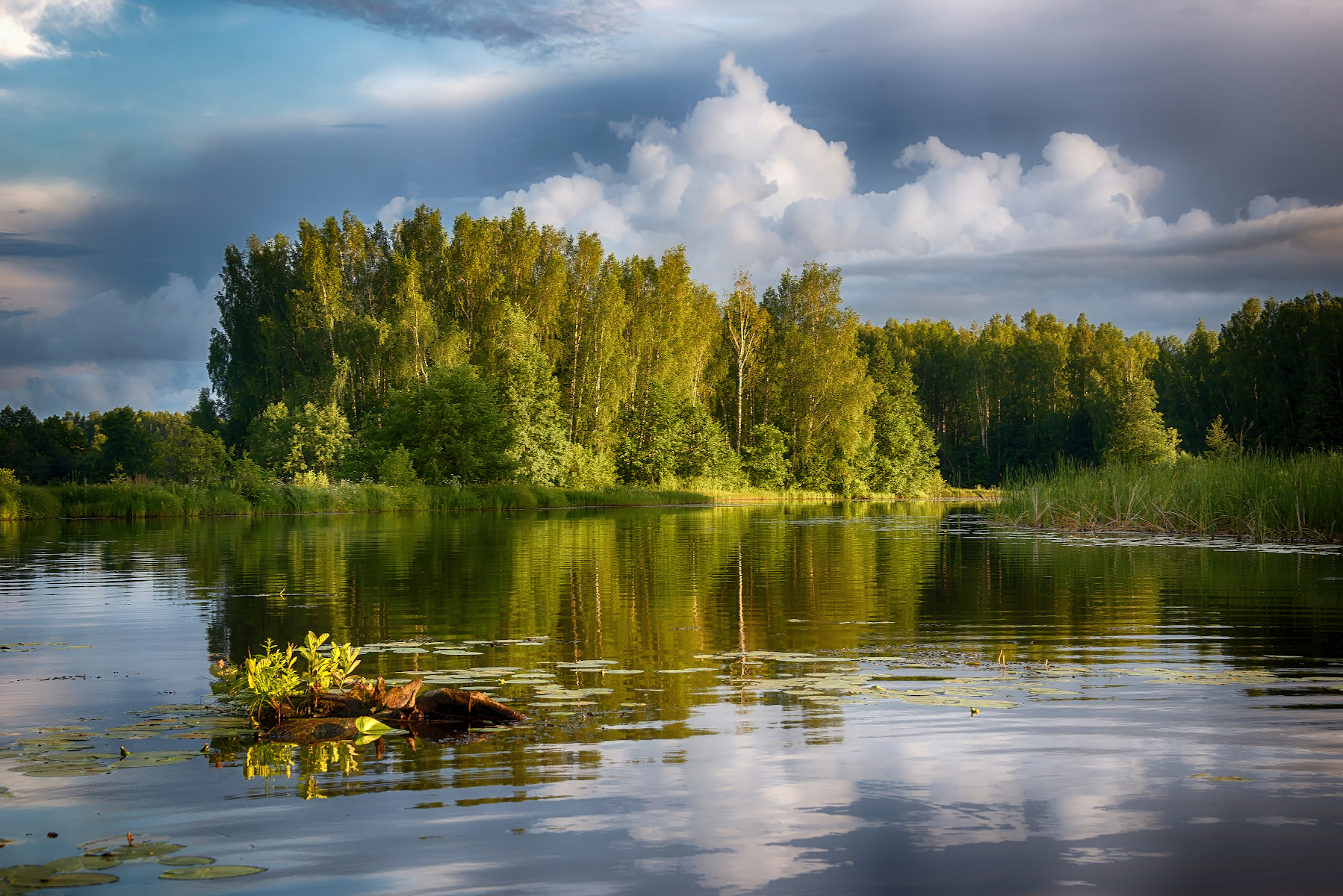 лес,озеро, солнечный свет на закате, Сергей Аникин