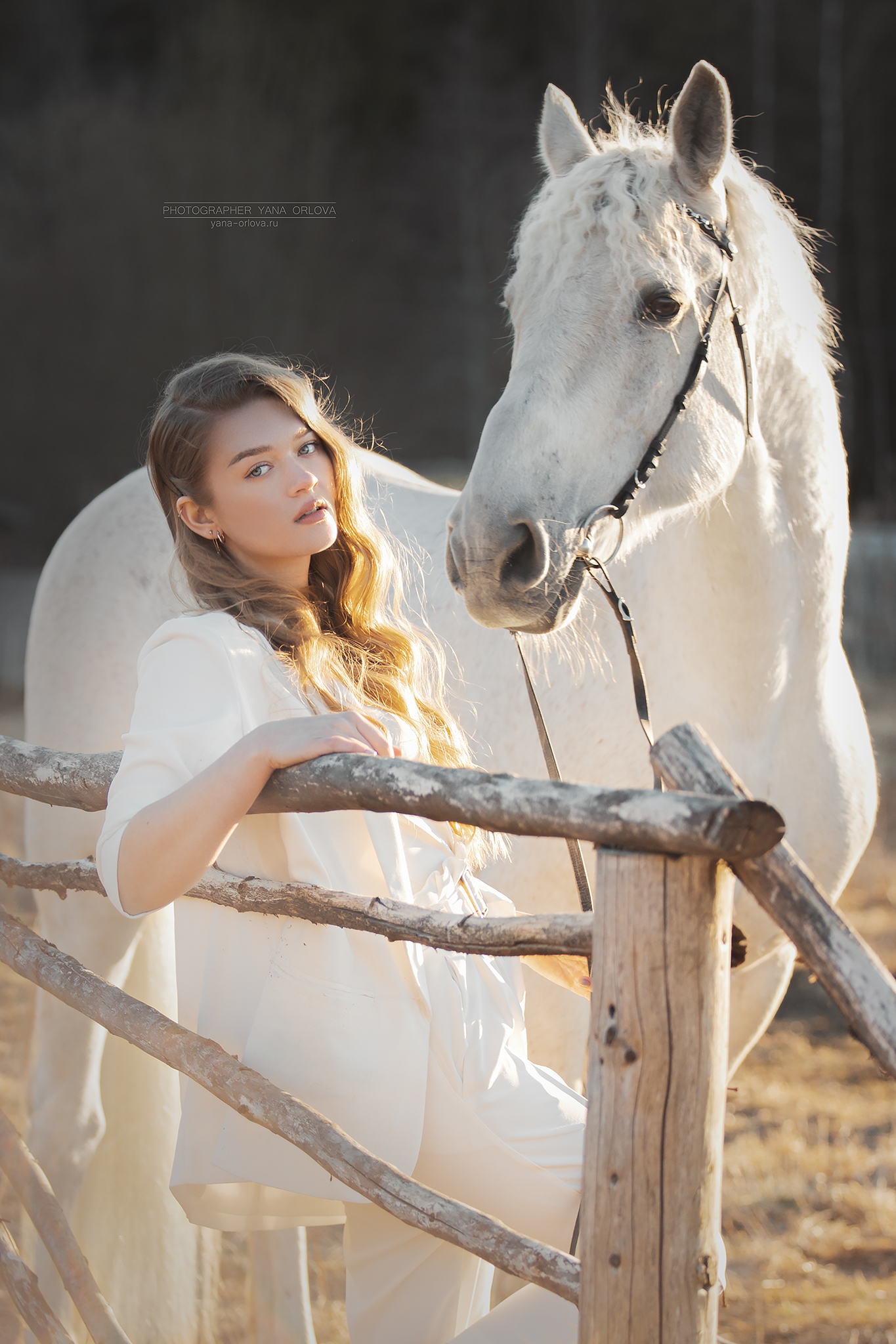 horse, horses, лошадь,  конный фотограф Яна Орлова, конь, конныйфотограф, кэнон, canon, 7020028, лошади, фотографияслошадью, фотосессияслошадью, фотосессиислошадьми, коннаяфотография, pferd, horsephotographer, женский портрет, девушка , Яна Орлова