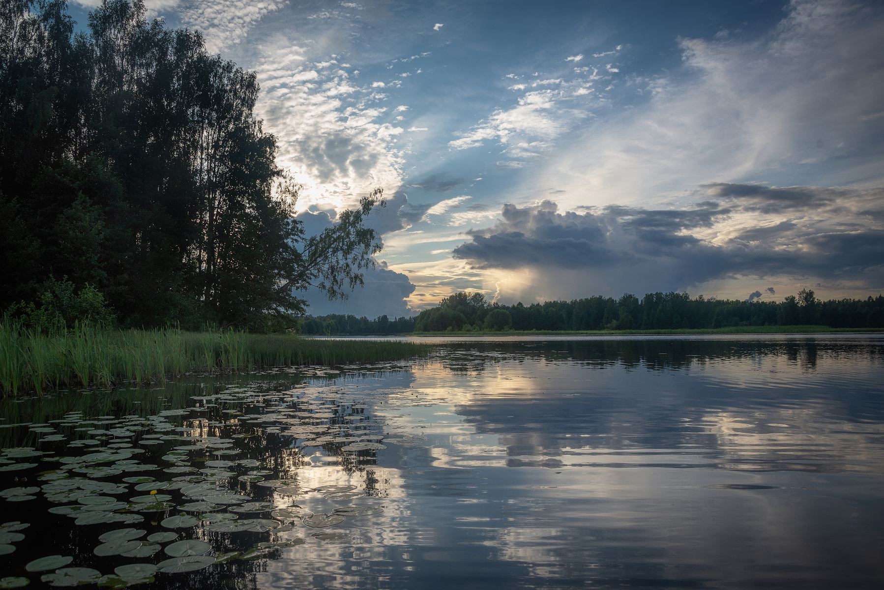 Река, вечер, кувшинки, берега, Сергей Аникин