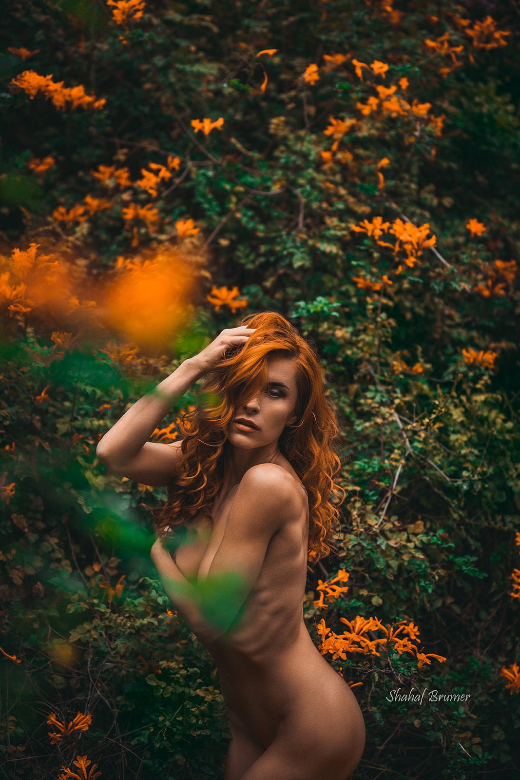 red, color, sexy, woman, girl, young, red head, feminine, sensual, boudoir, nude, flower, Brumer Shahaf