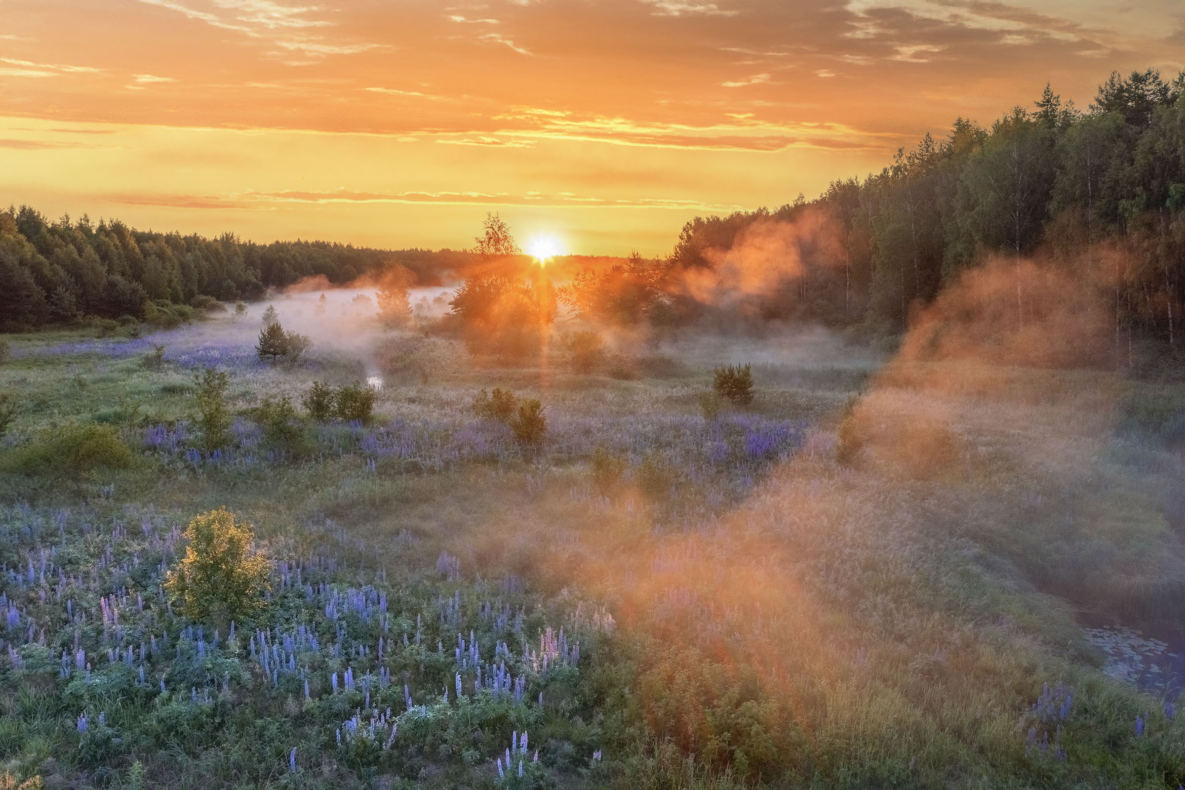 Фототуры с Владимиром Рябковым, #topnature #russpasibo #magic_shots #lovelyRussia #sunset_vision #exclusive_sky  #exclusive_shots #loves_russia2 #photoarena_nature #nature_sultans #nature_perfection #rsa_sky #rsa_sunset #photorussia #rsa_naturepics #sunse, Владимир Рябков