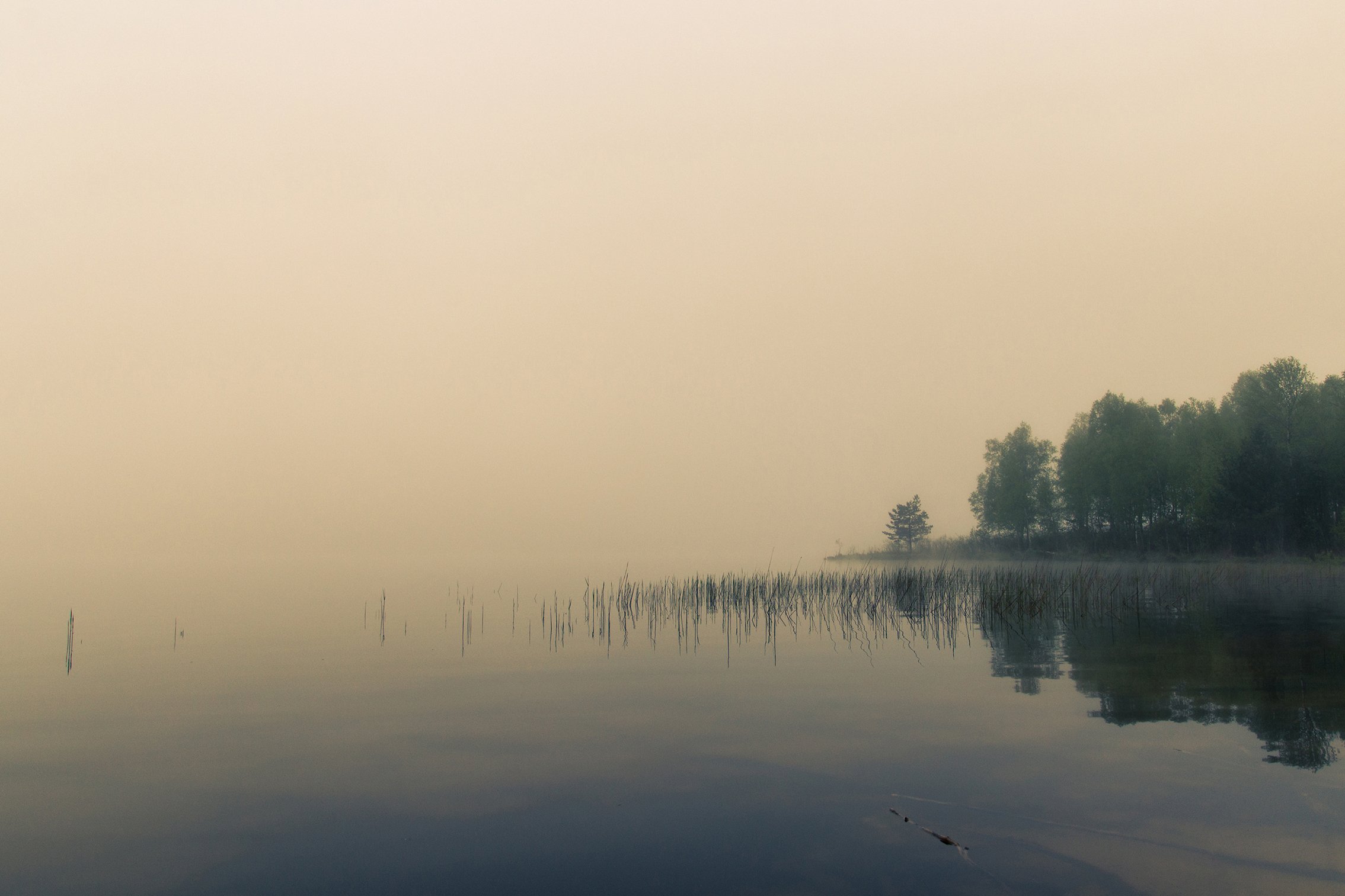 Lake, Mist, Still, Zenonas