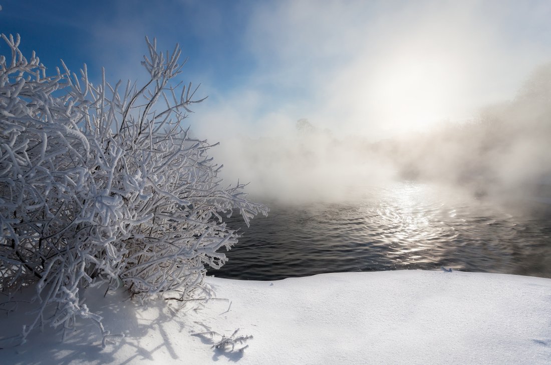 Речка вода снег кусты лес туман сугробы солнце зима мороз, Георгий Машковцев