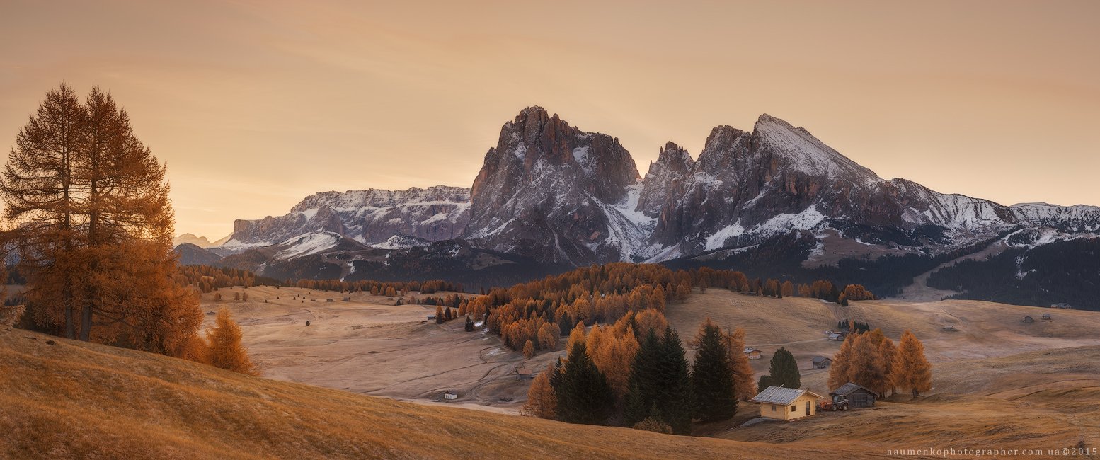 горы,доломиты,италия,лиственница,осень,панорама,свет,утро,alpe di siusi, Александр Науменко