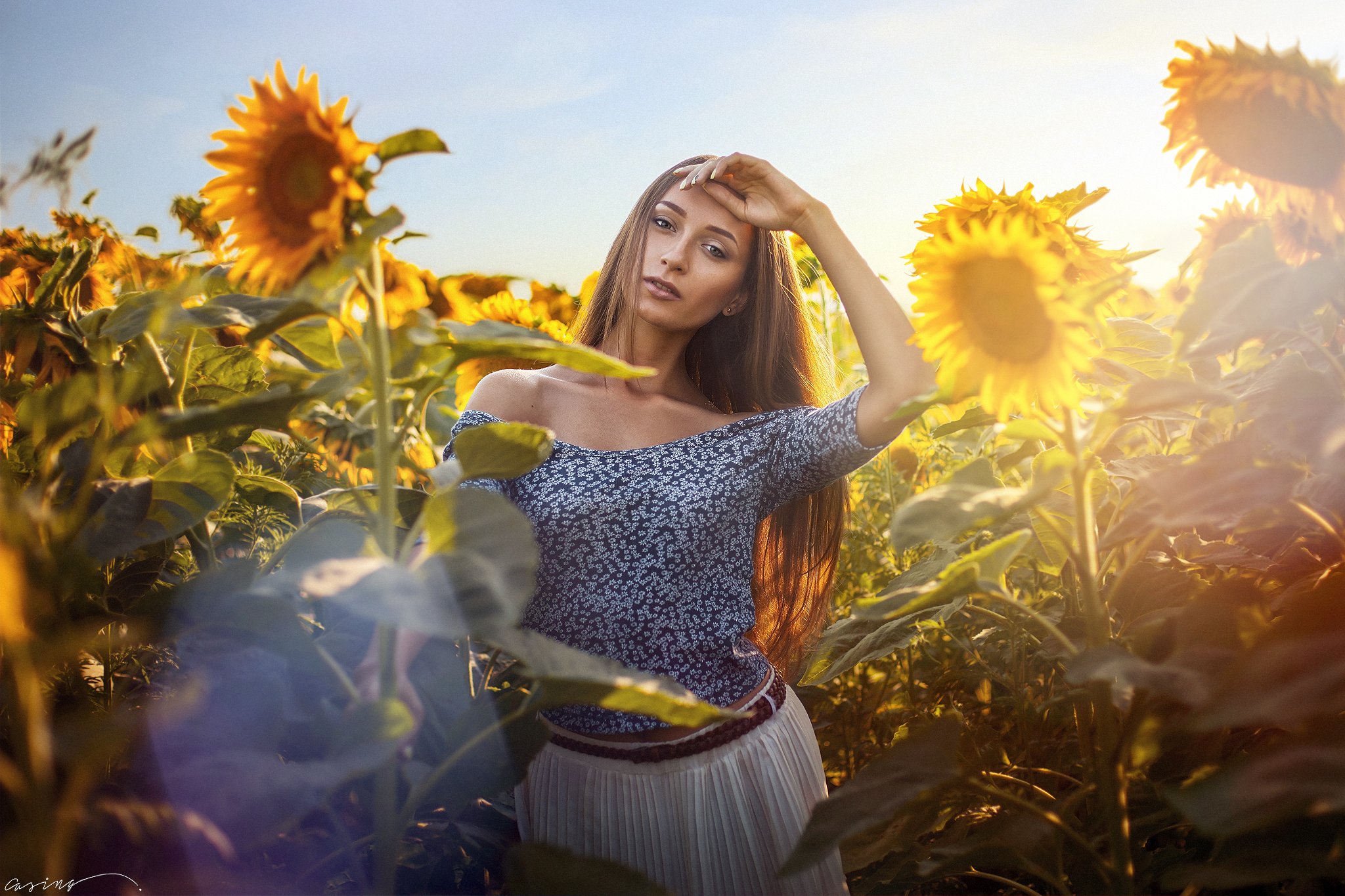 Beauty, Girl, Sky, Summer, SunFlowers, Sunset, Casing