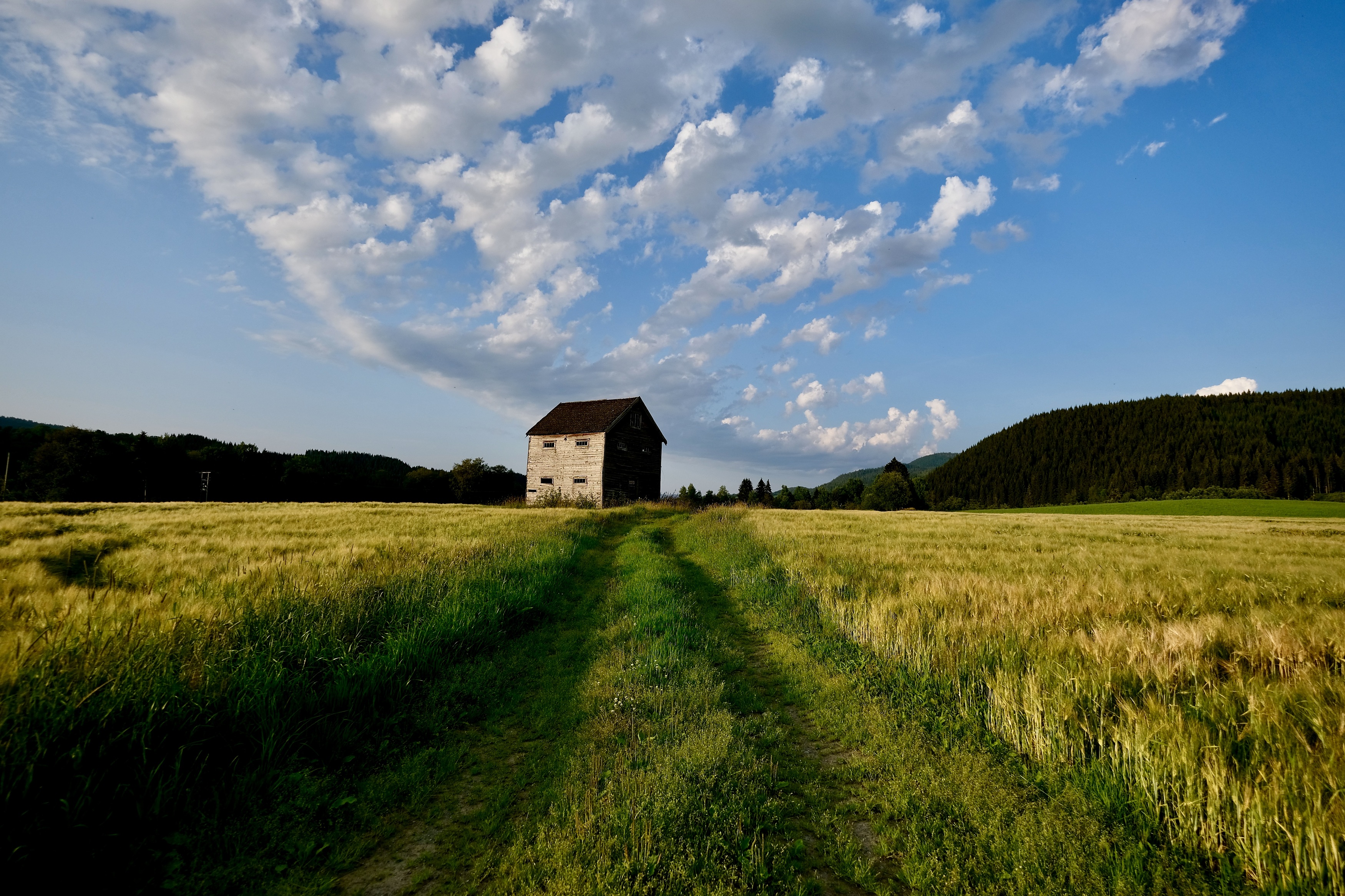 Landscapes, house, old, fields, summer, clouds, , Svetlana Povarova Ree